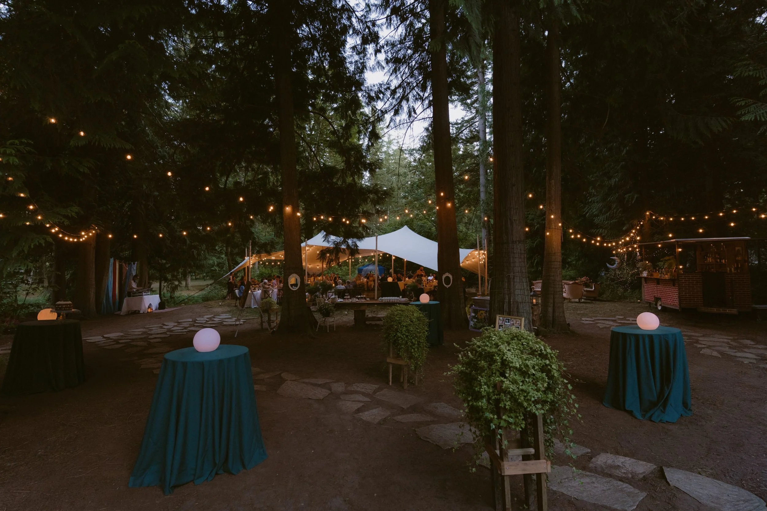 langley-wedding-photographer-fraser-valley-035.jpg