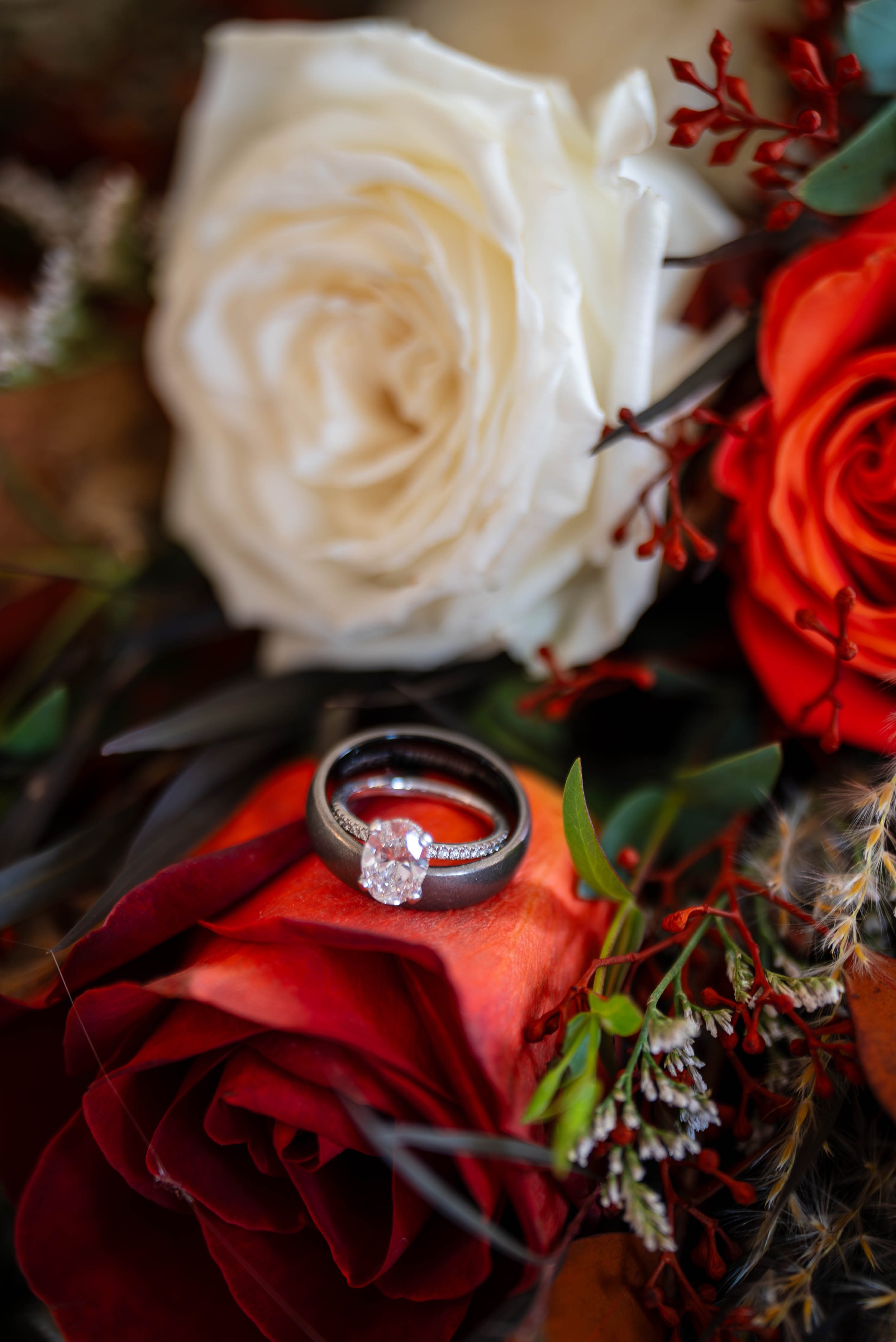 A close-up of a diamond engagement ring placed on a cluster of red and white roses with greenery and small red and white flowers around.