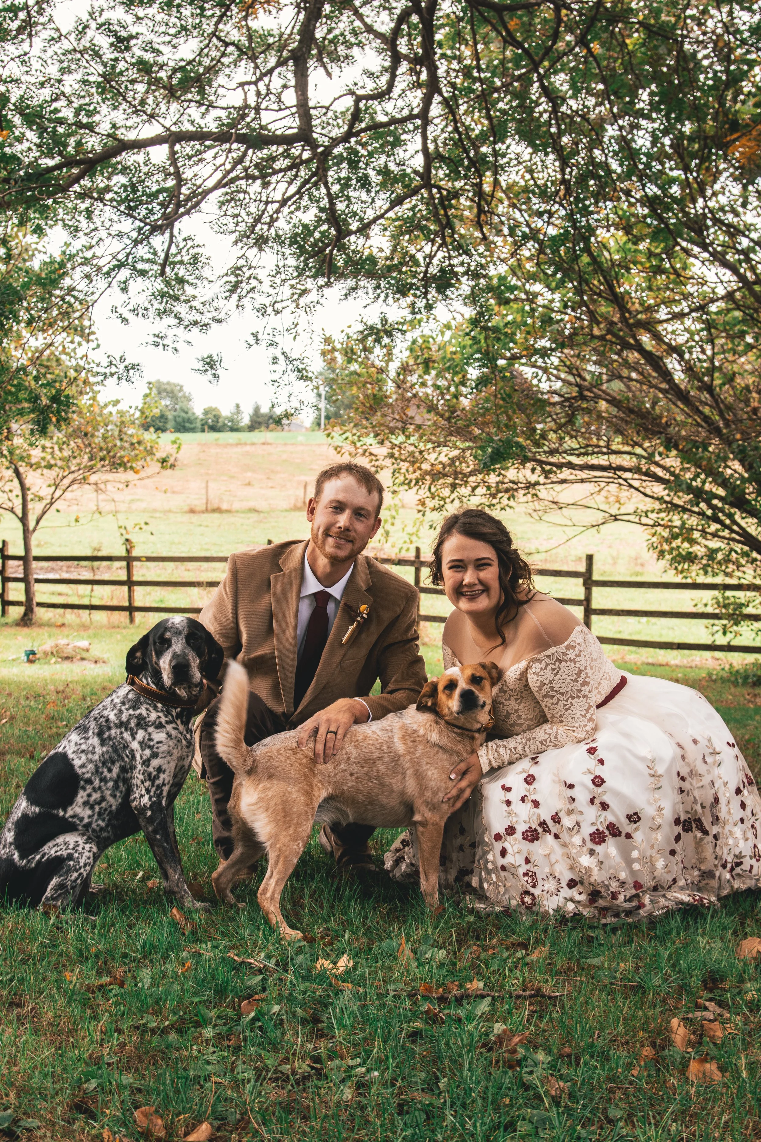 A happy couple in formal attire outdoors with two dogs, a tree with sprawling branches overhead, and a wooden fence in the background.