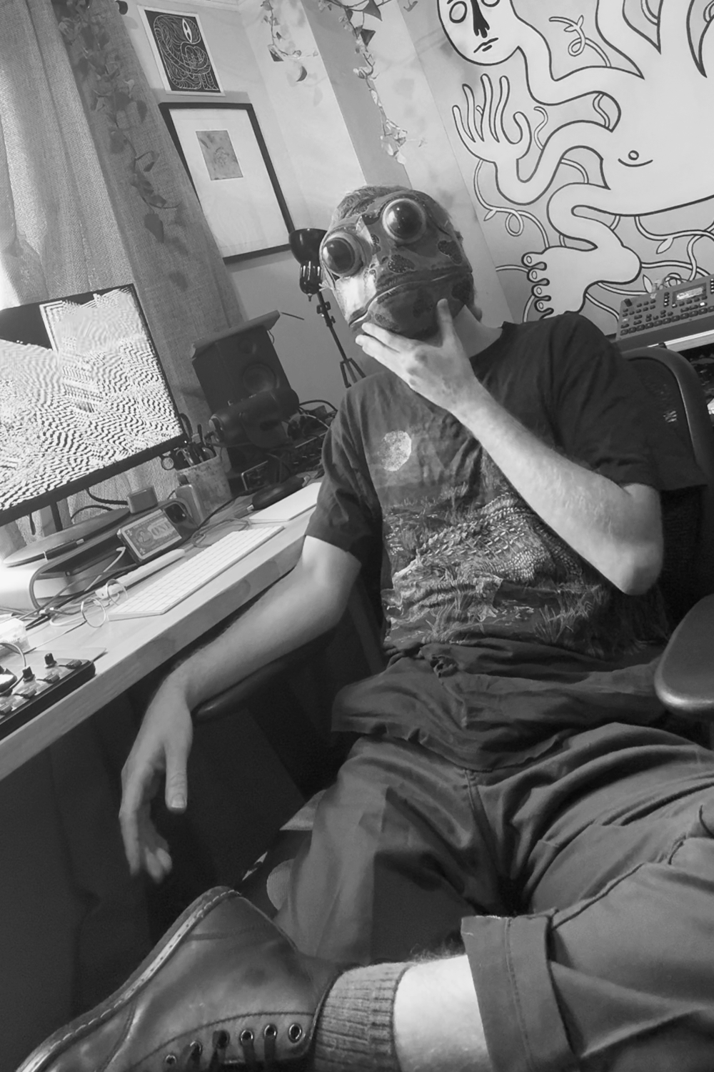 Person sitting at a desk wearing a frog mask, in a room with a computer monitor, studio equipment, and artwork on the wall.