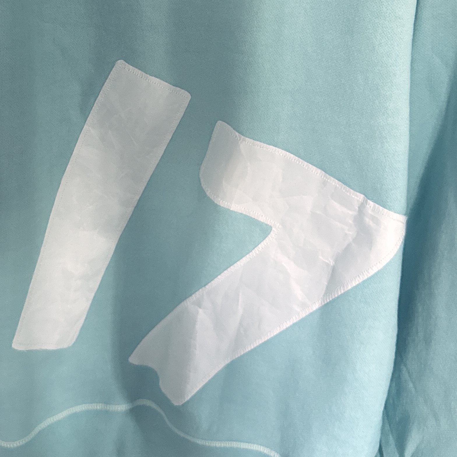 Walloon 17 Sweatshirt Pre-Order