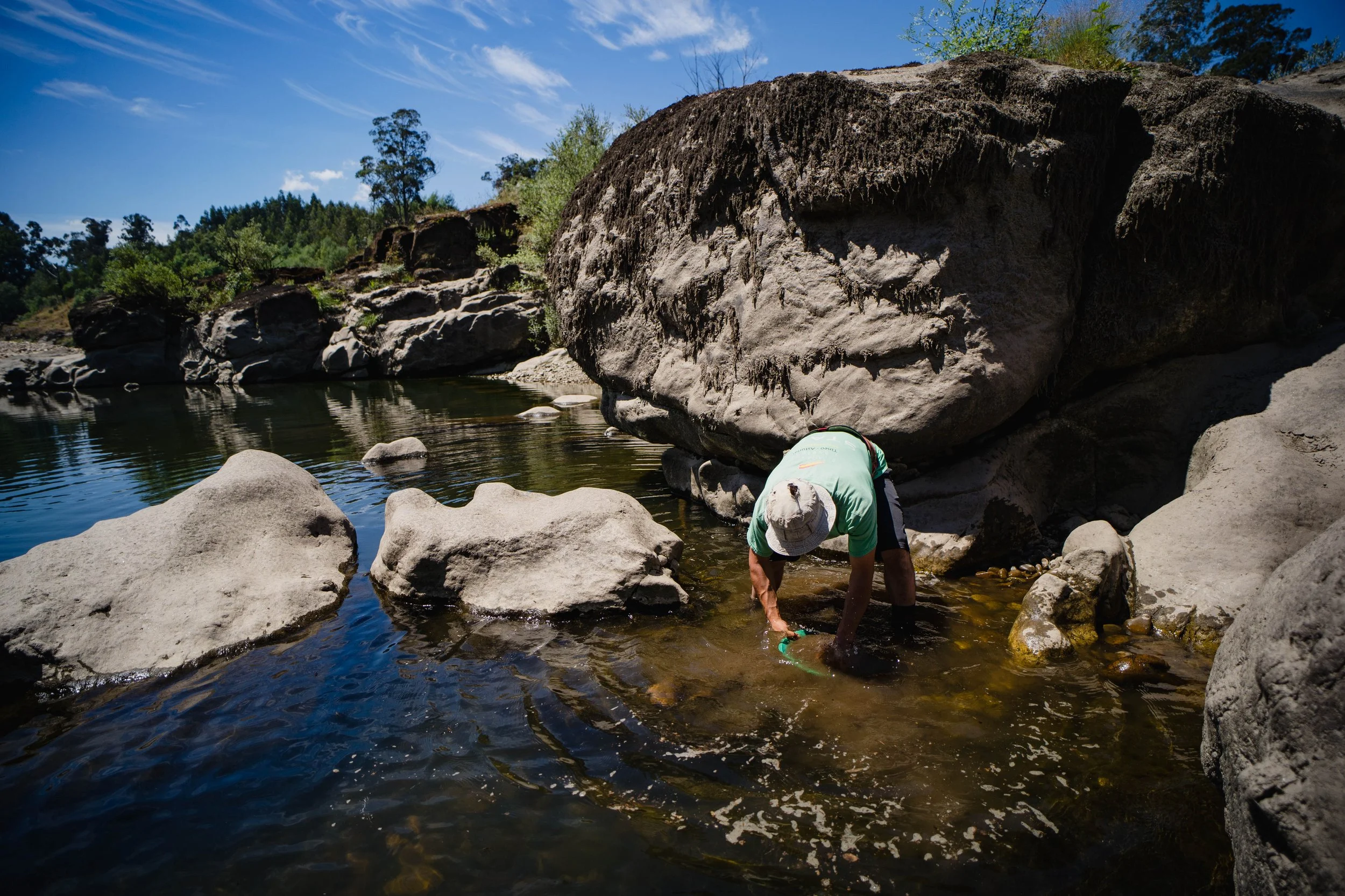 Gold fever in Miño river