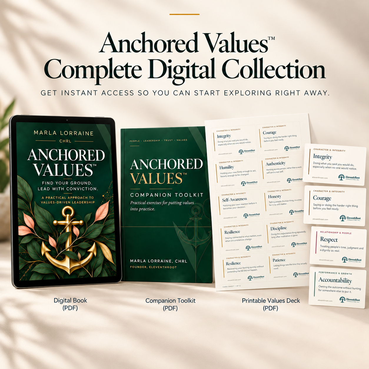 Anchored Values Digital Collection (1).png