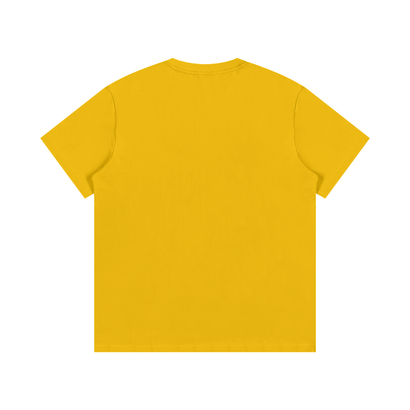 Essential Cotton T-Shirt-mockups-6.png