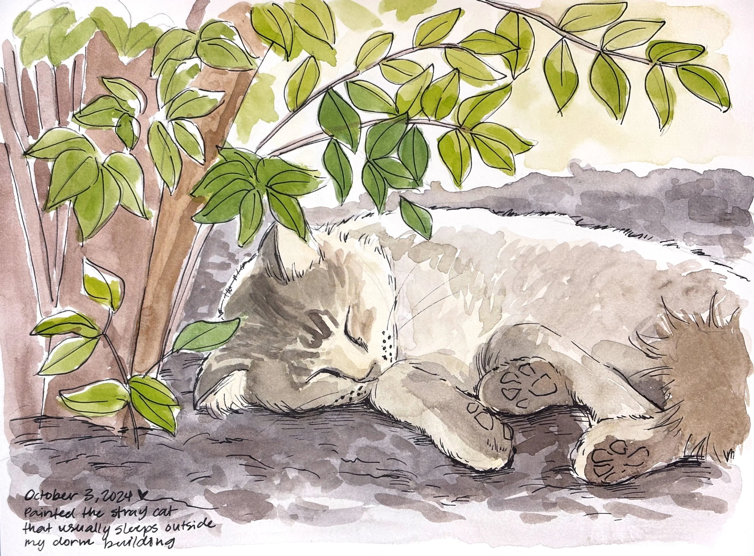 Watercolor illustration of a stray cat sleeping outdoors under a tree with green leaves. The cat is curled up on the ground next to a tree trunk, with written note mentioning it was painted on October 3, 2024, and describing the cat as a stray that usually sleeps outside a dorm building.