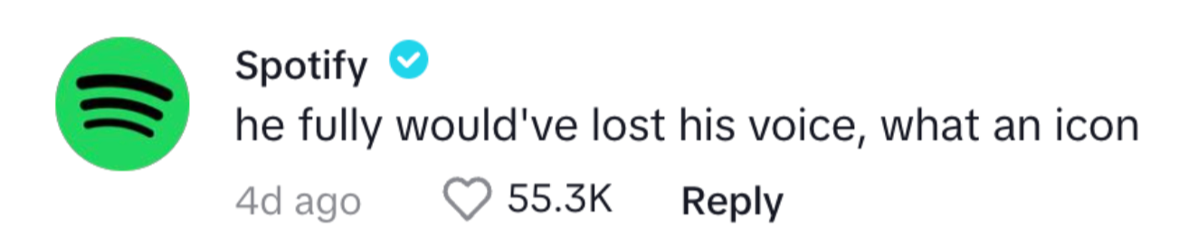 Screenshot of a Spotify comment from a verified user stating, "he fully would've lost his voice, what an icon."