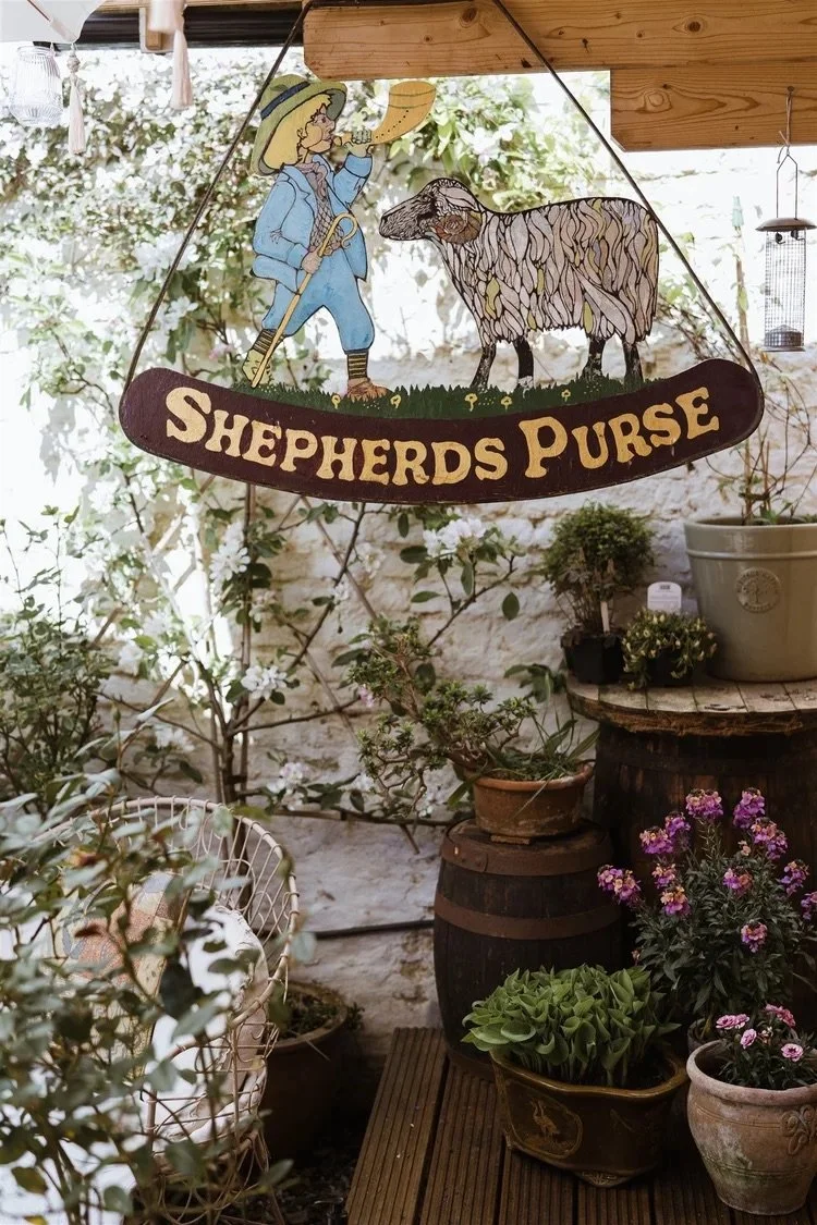 A decorative sign hanging in a garden area reads "Shepherds Purse" and features a cartoon shepherd boy in blue clothing with a large yellow hat, holding a shepherd's staff, standing next to a sheep with intricate line patterns on its wool.