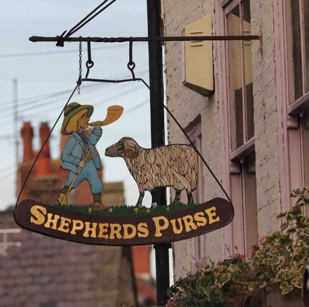A hanging sign for Shepherds Purse featuring an illustration of a shepherd boy playing a trumpet and a sheep, mounted on the wall outside a building.