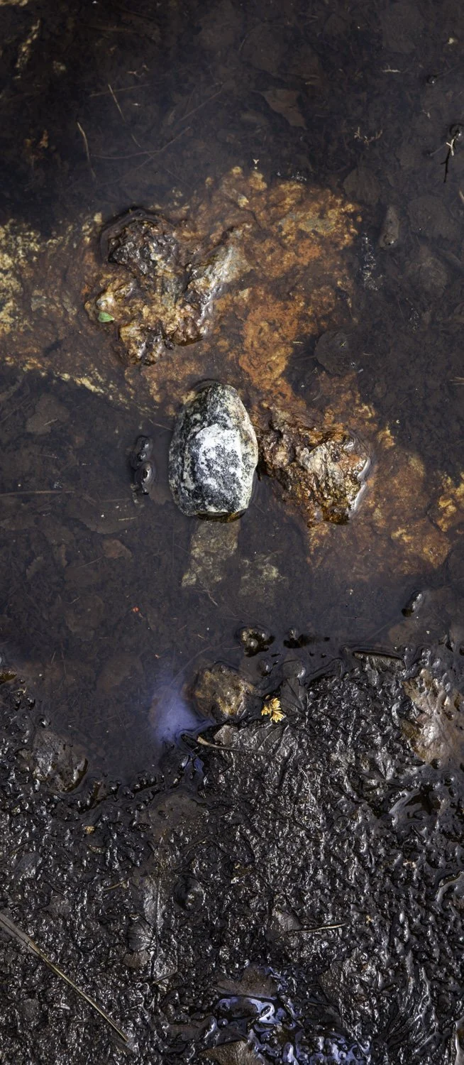 Superficies 30, 39"x17" archival inkjet print on Hahnemuhle Photorag Pearl, 2017