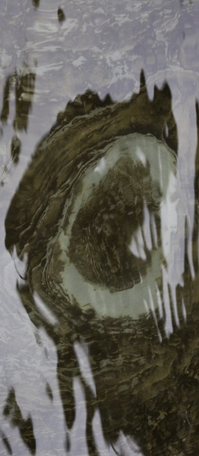 Superficies 12, 39"x17" archival inkjet print on Hahnemuhle Photorag Pearl, 2014