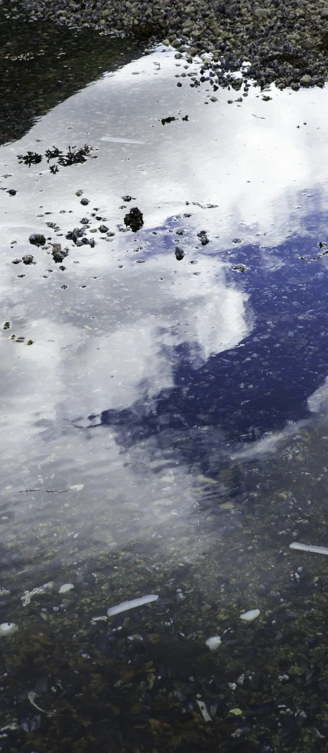 Superficies 29, 39"x17" archival inkjet print on Hahnemuhle Photorag Pearl, 2017