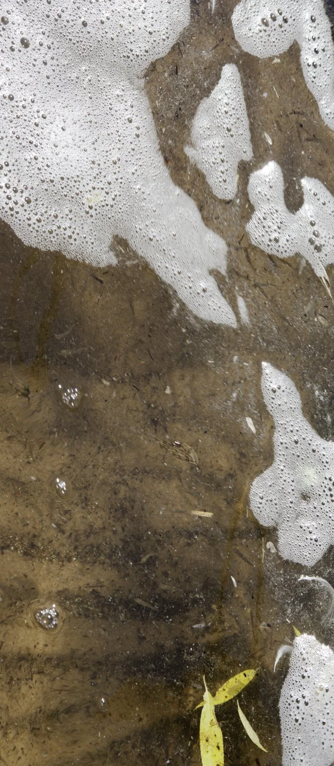 Superficies 02, 39"x17" archival inkjet print on Hahnemuhle Photorag Pearl, 2014