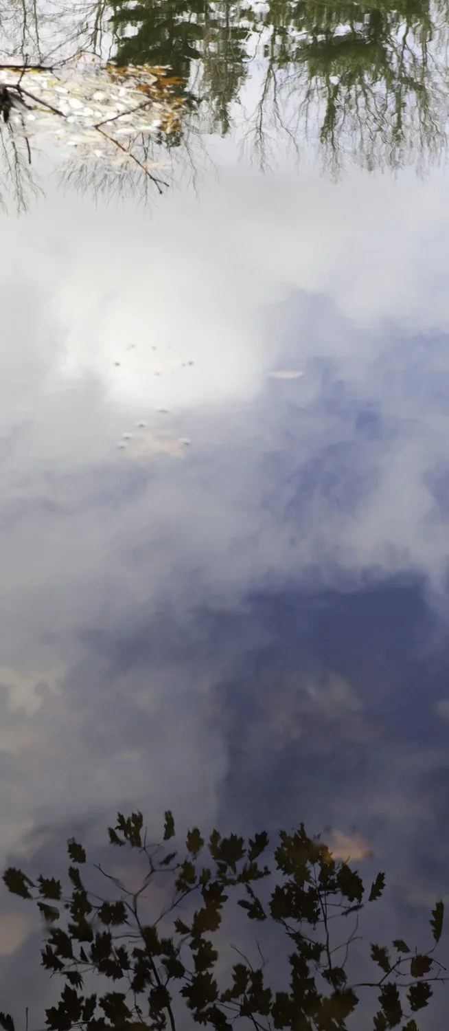 Superficies 11, 39"x17" archival inkjet print on Hahnemuhle Photorag Pearl, 2014