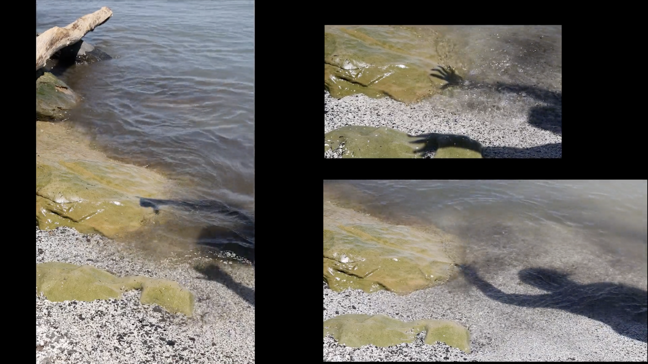 Breathing in Place: Lake Erie, Sweet Lorraine/St. Louis Blues (Part 2) - 5 mins