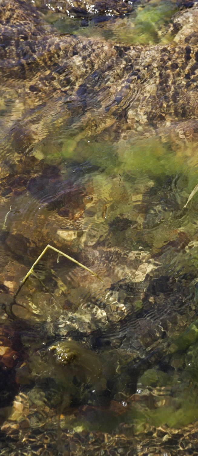 Superficies 28, 39"x17" archival inkjet print on Hahnemuhle Photorag Pearl, 2017