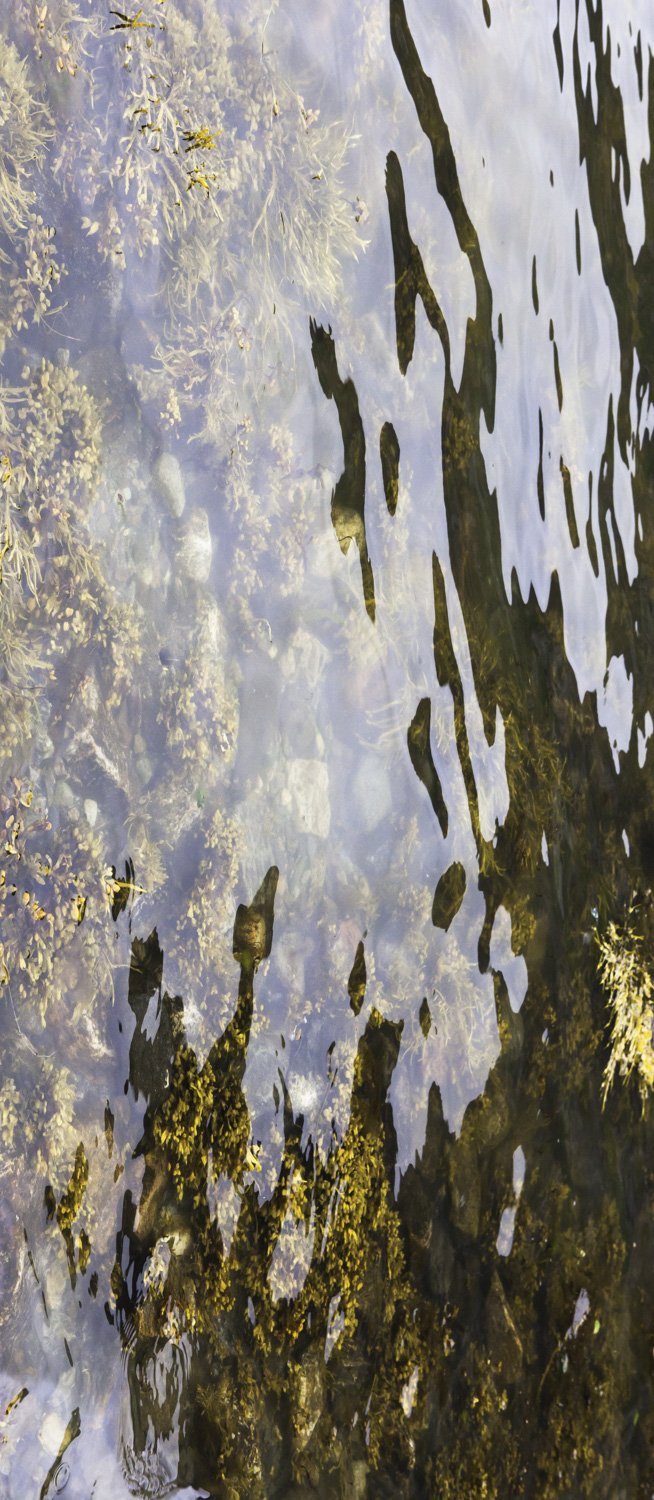 Superficies 32, 39"x17" archival inkjet print on Hahnemuhle Photorag Pearl, 2017