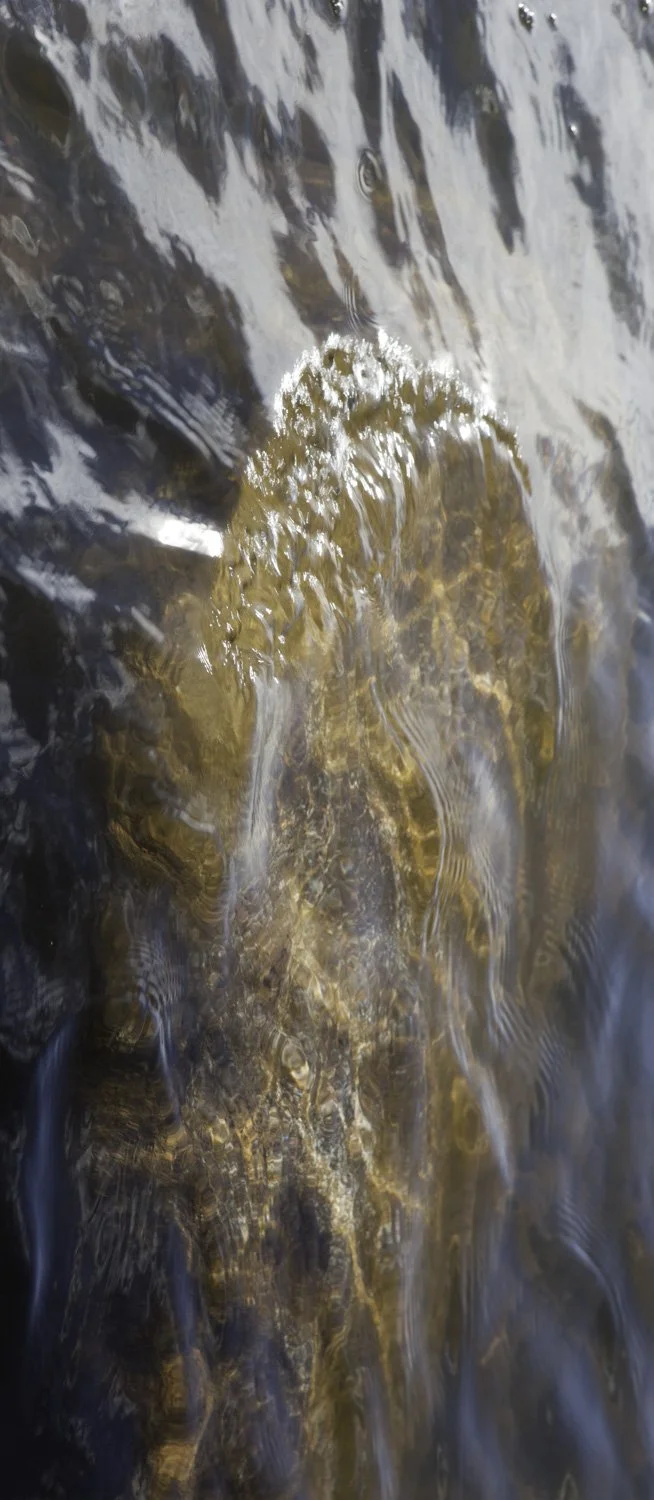 Superficies 05, 39"x17" archival inkjet print on Hahnemuhle Photorag Pearl, 2014