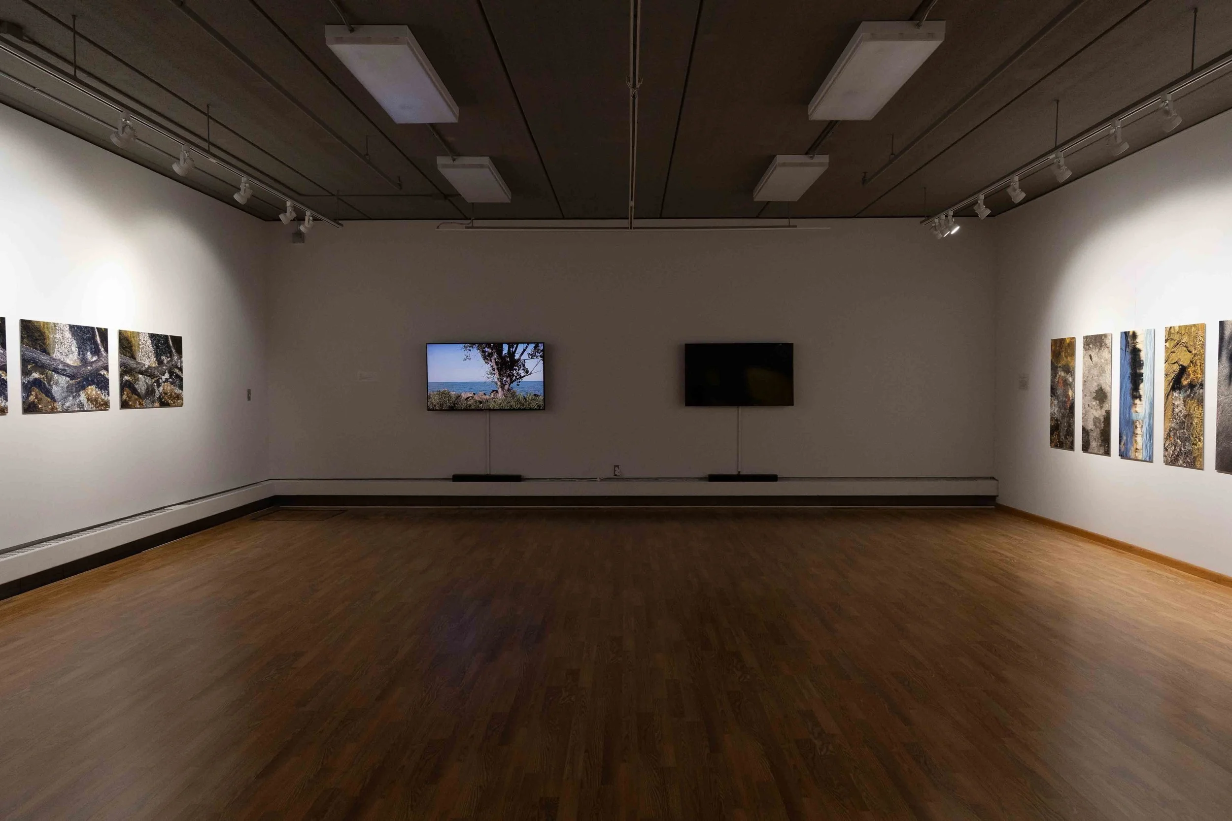 BiP installation 2025