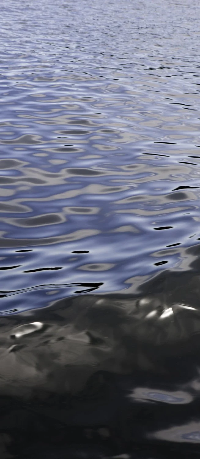 Superficies 26, 39"x17" archival inkjet print on Hahnemuhle Photorag Pearl, 2017