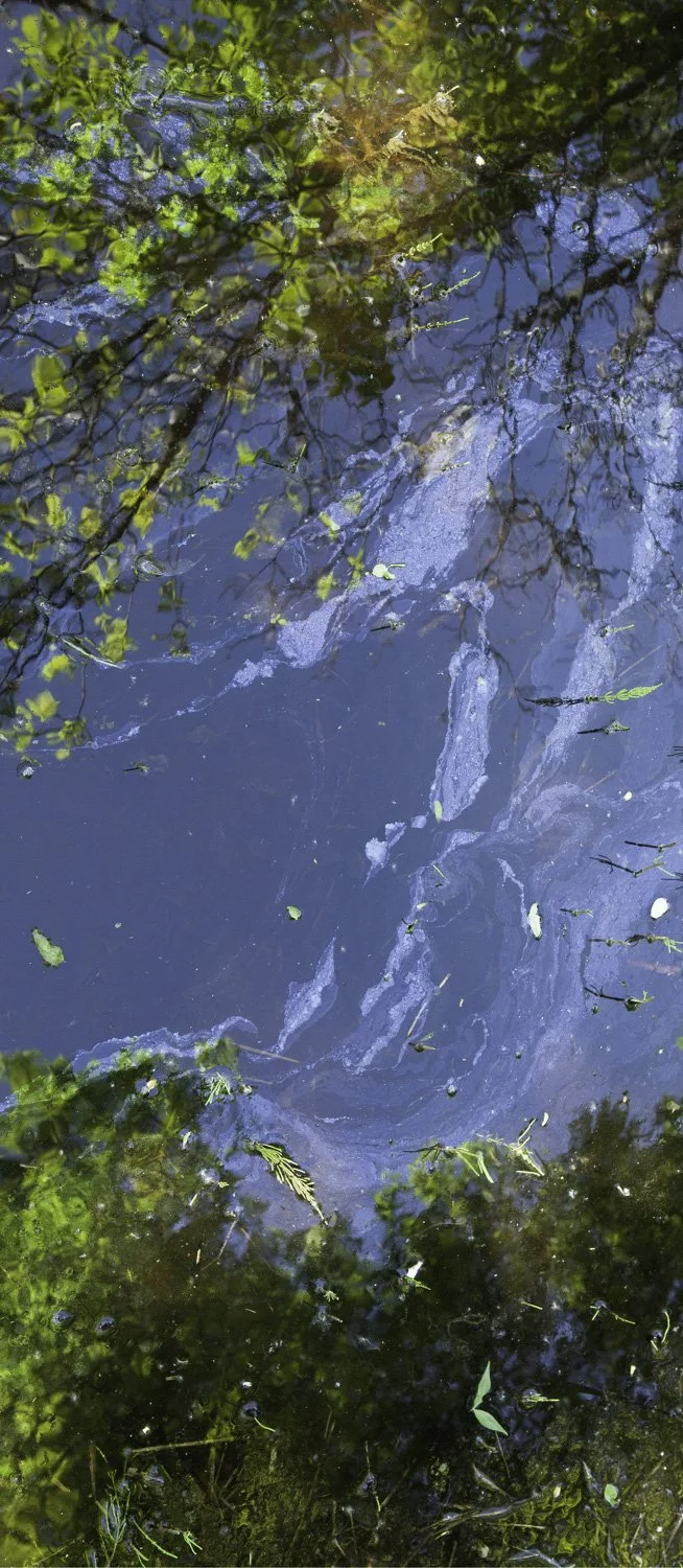 Superficies 18, 39"x17" archival inkjet print on Hahnemuhle Photorag Pearl, 2014