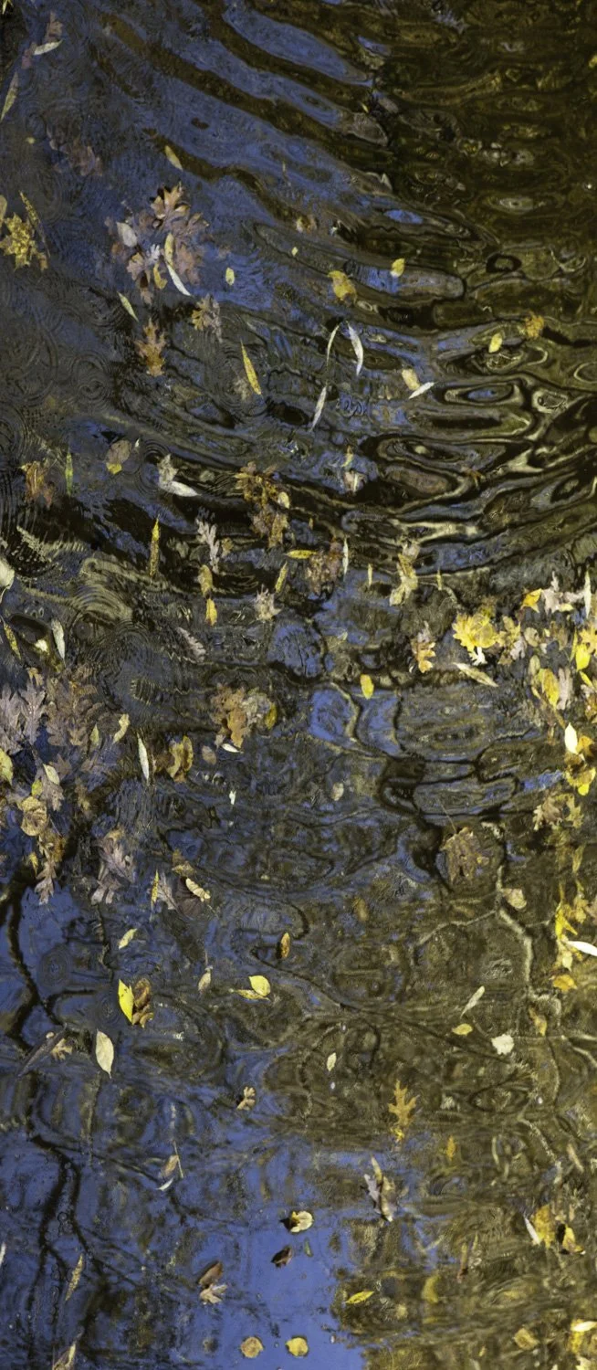 Superficies 10, 39"x17" archival inkjet print on Hahnemuhle Photorag Pearl, 2014