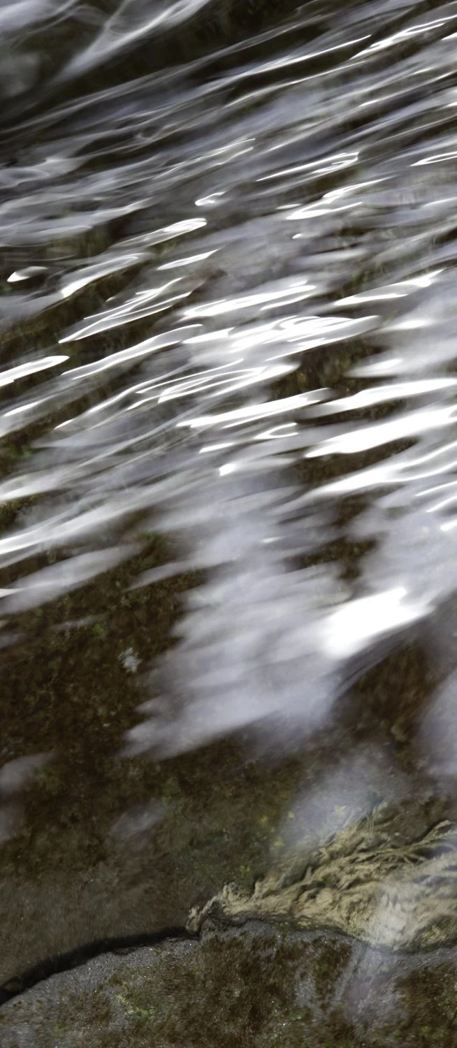 Superficies 06, 39"x17" archival inkjet print on Hahnemuhle Photorag Pearl, 2014