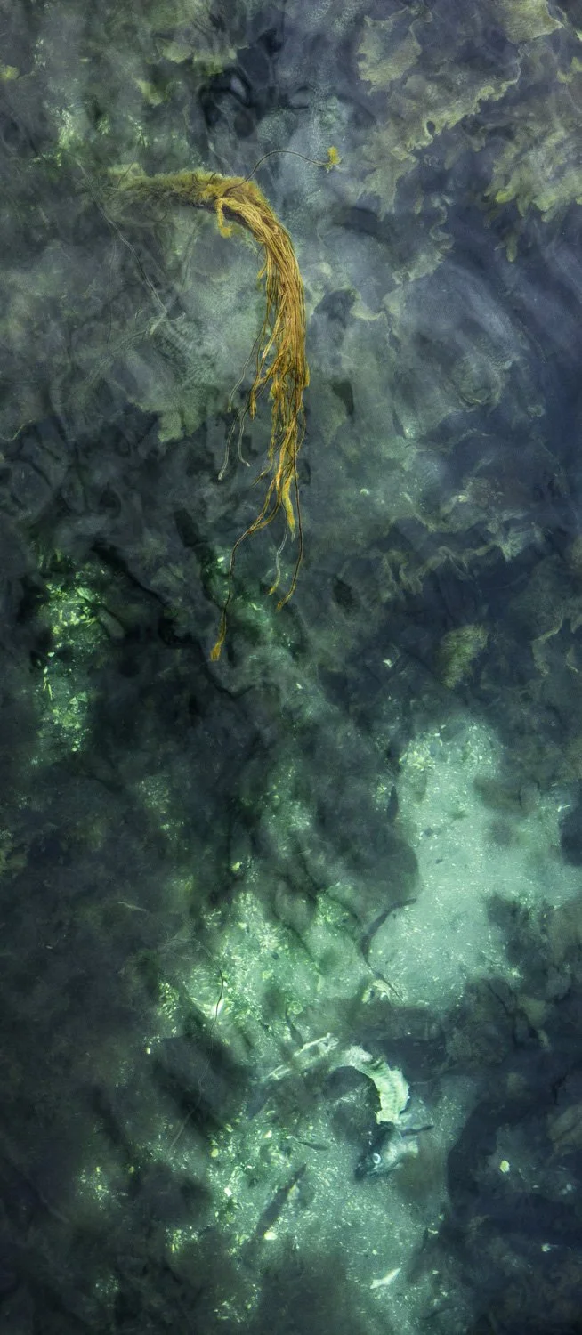 Superficies 24, 39"x17" archival inkjet print on Hahnemuhle Photorag Pearl, 2017