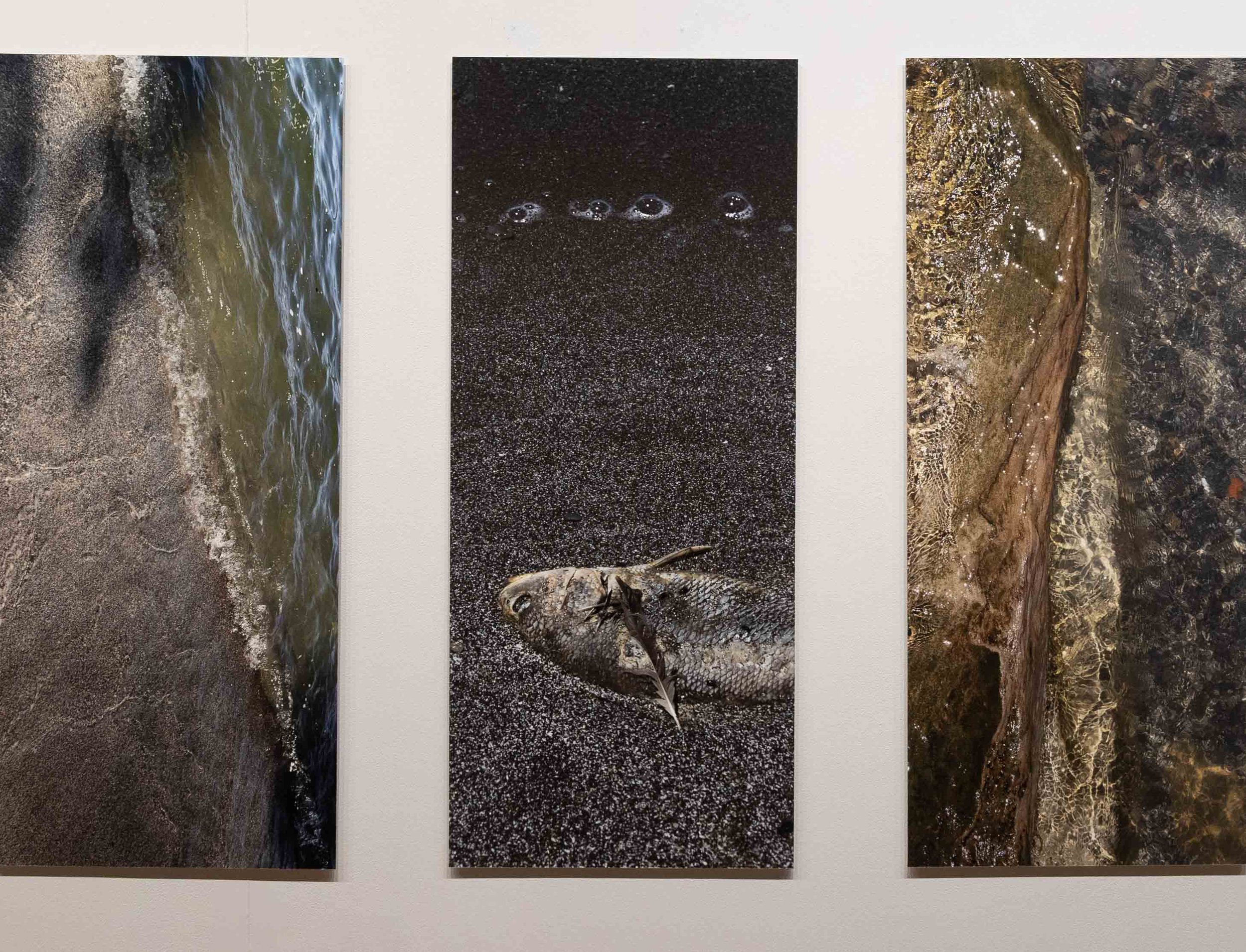 Breathing in Place: Superficies