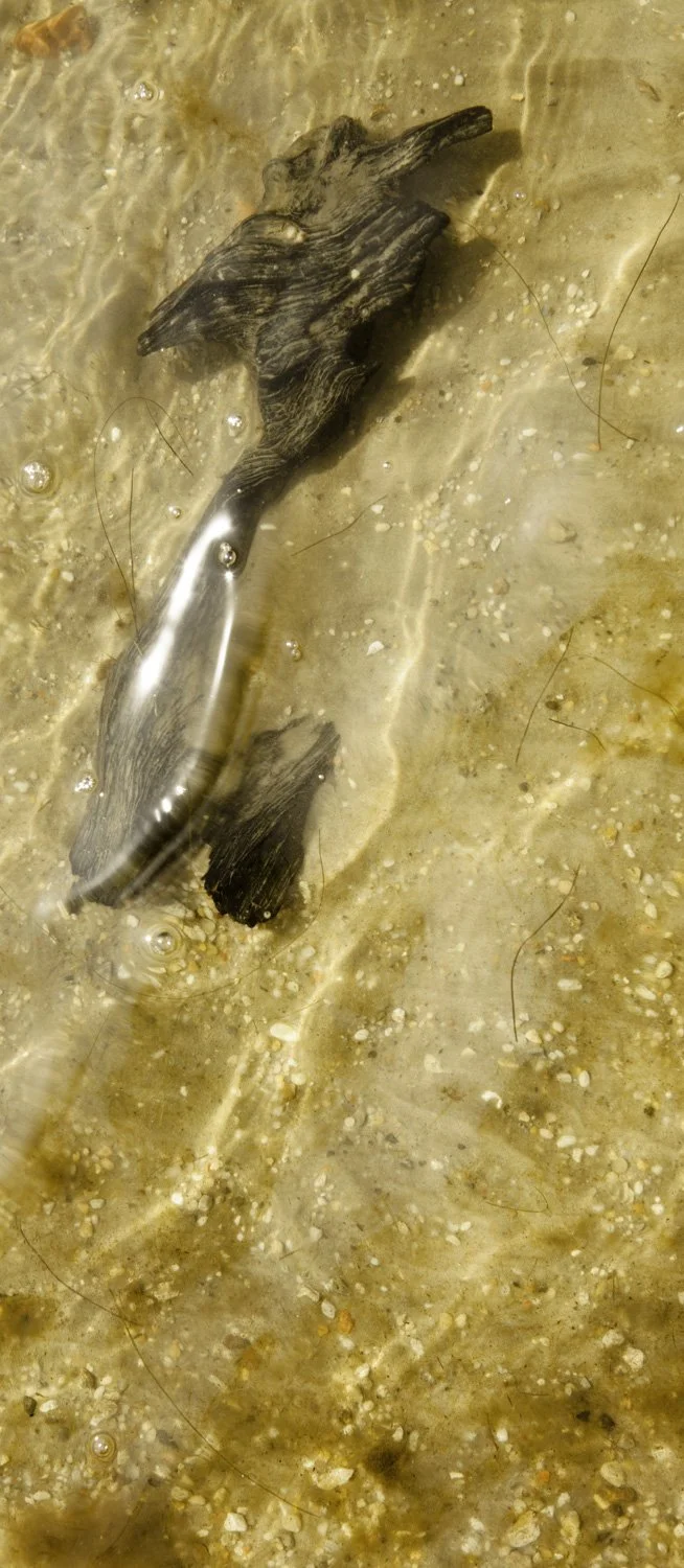 Superficies 21, 39"x17" archival inkjet print on Hahnemuhle Photorag Pearl, 2016