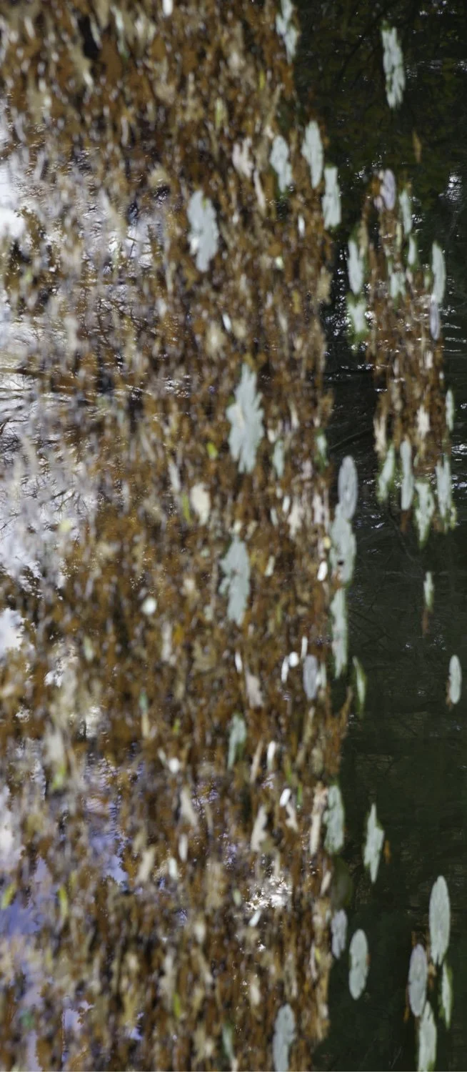 Superficies 04, 39"x17" archival inkjet print on Hahnemuhle Photorag Pearl, 2014