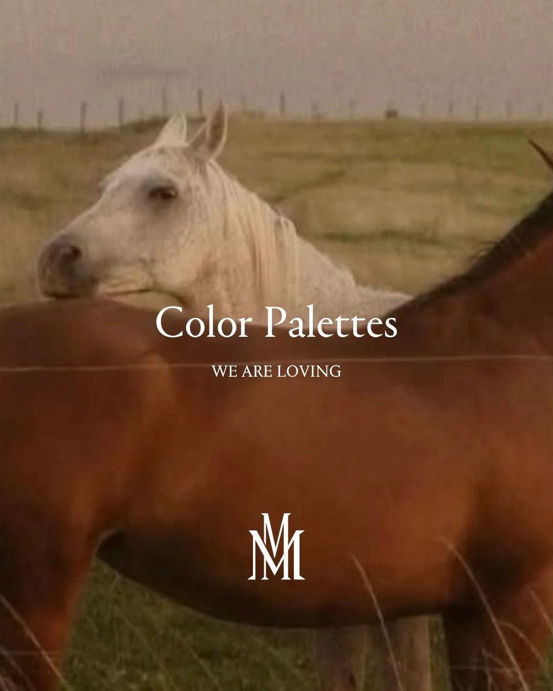 A study in color, texture, and feeling.⁠
⁠
From rich peony pinks and deep berry tones to soft sage, warm ivory, and sun-washed neutrals.⁠
⁠
Dusty lavender fields, aged brass and pearl, coastal blues layered with natural wood, and grounded earth tones