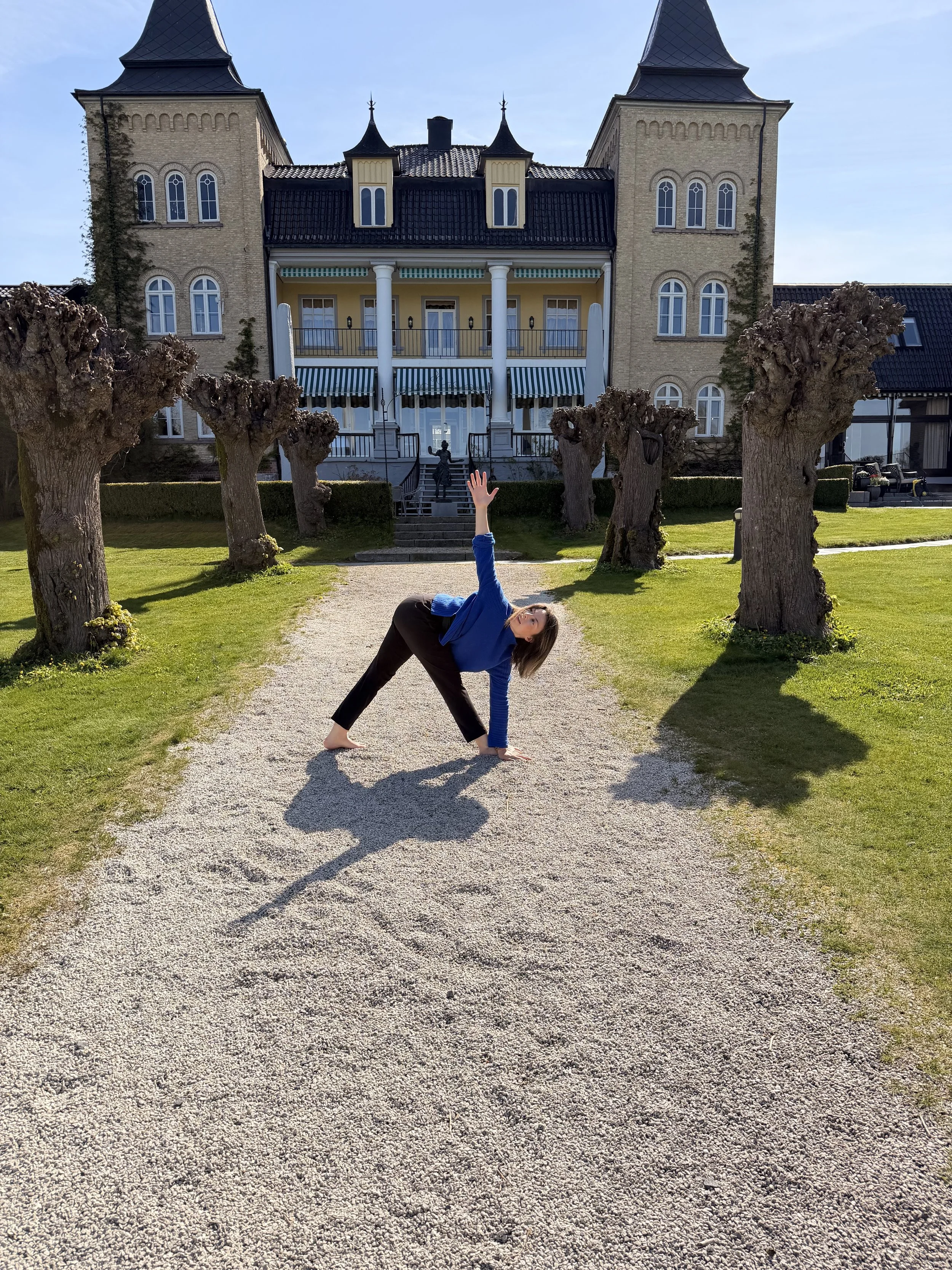 Vinyasa flow