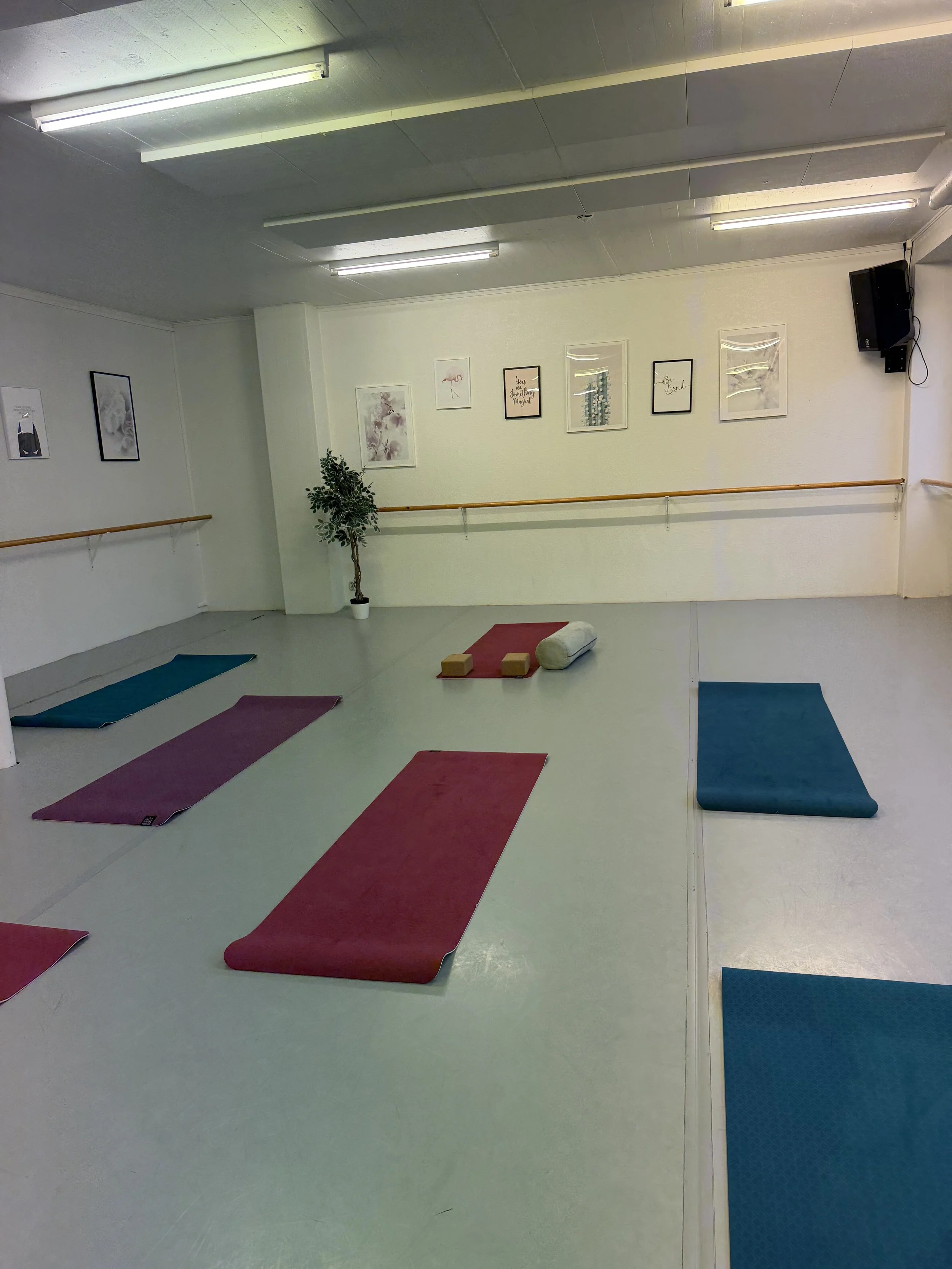An empty yoga studio with colorful mats on the floor, a potted plant, and framed artwork on the wall.