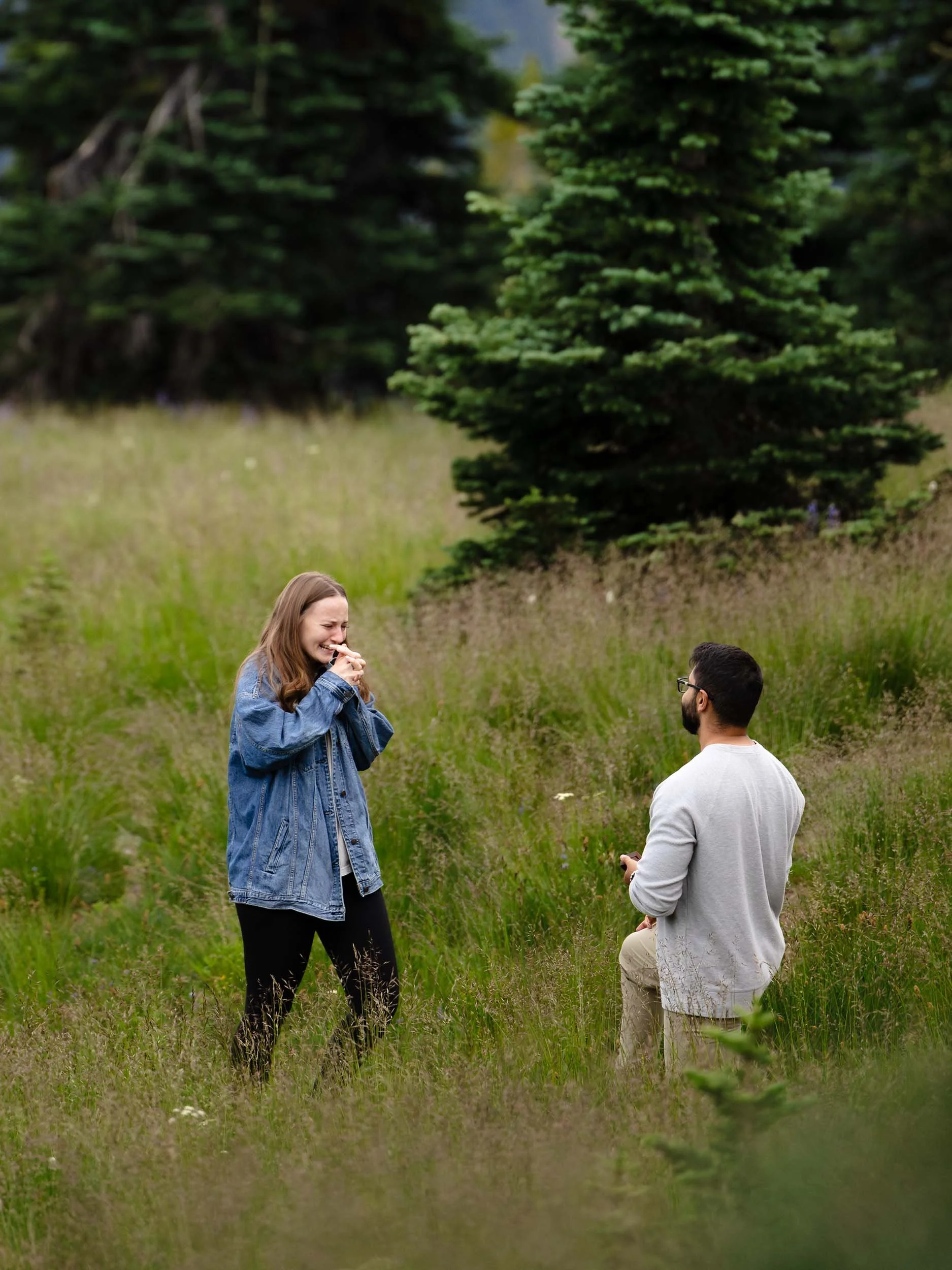 Kasey is overwhelmed with emotion as James kneels and proposes marriage in a meadow at Mount Rainier National Park.