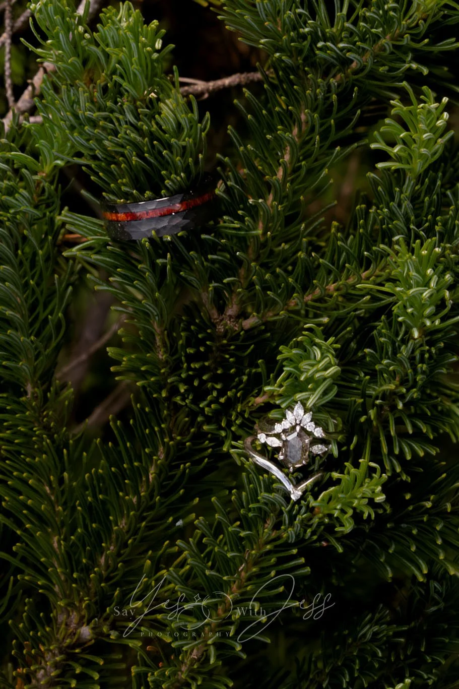 Custom wedding rings are positioned in a pine tree at Tipsoo Lake during a Mount Rainier elopement.