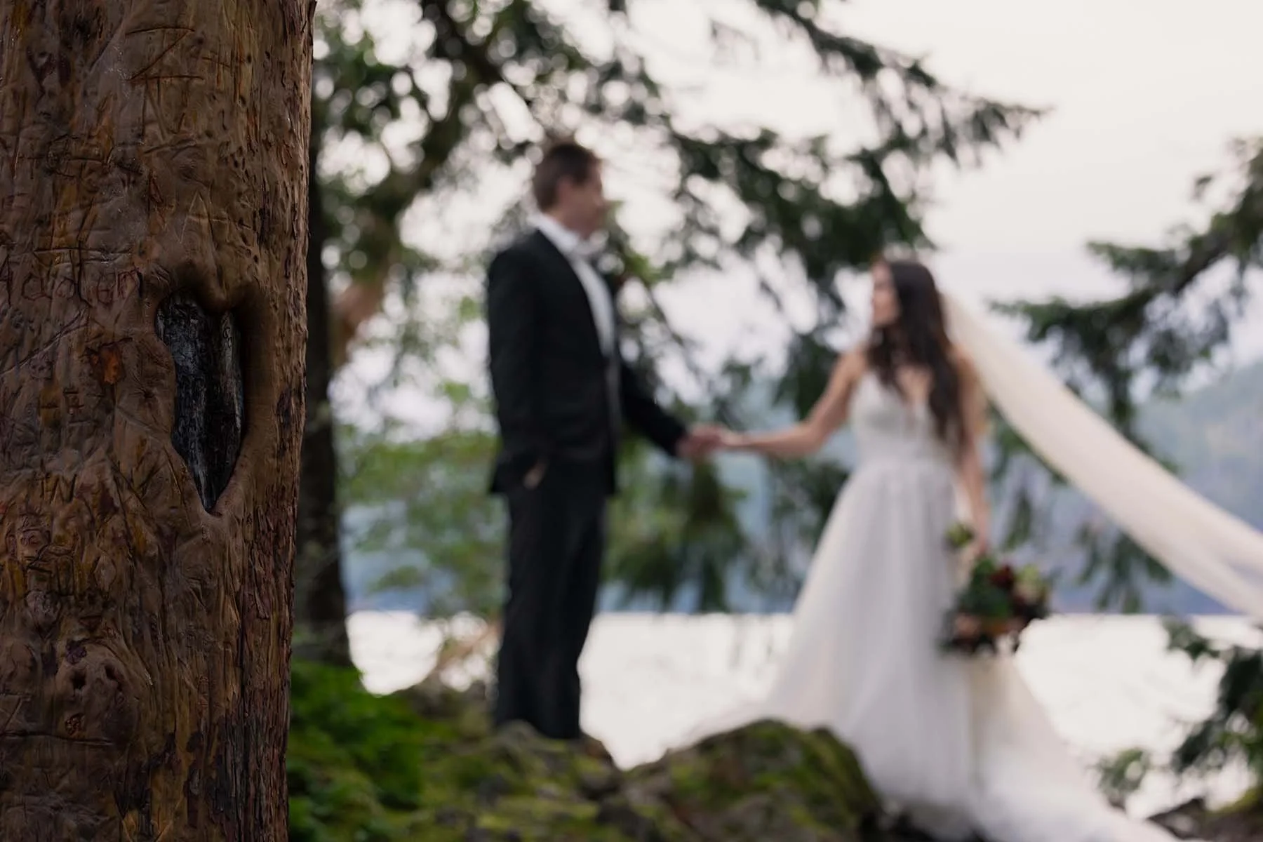 A wedding couple in the background with a tree in the foreground in focus with a natural heart-shaped knot