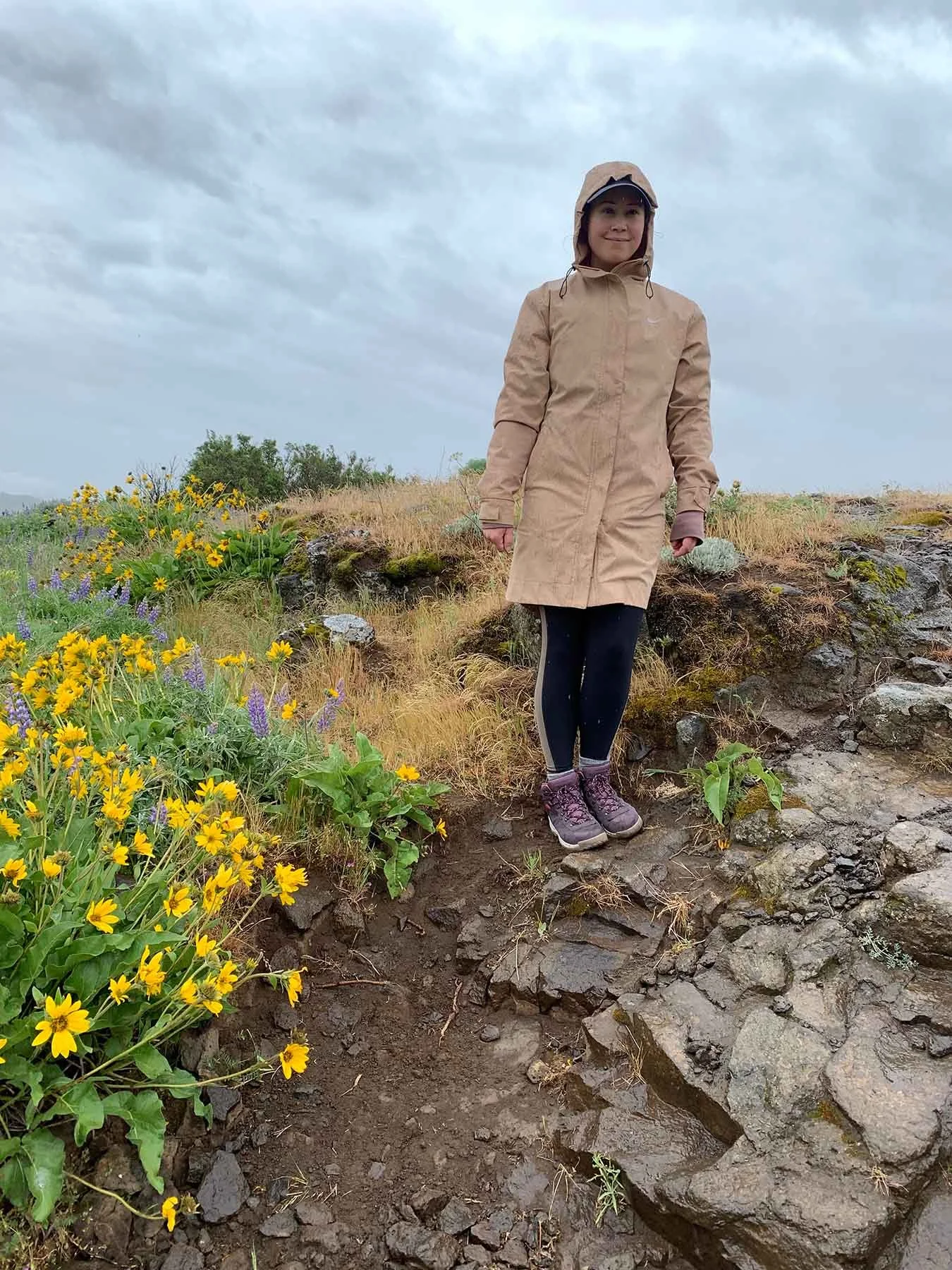 Wildflowers in The Columbia River Gorge.