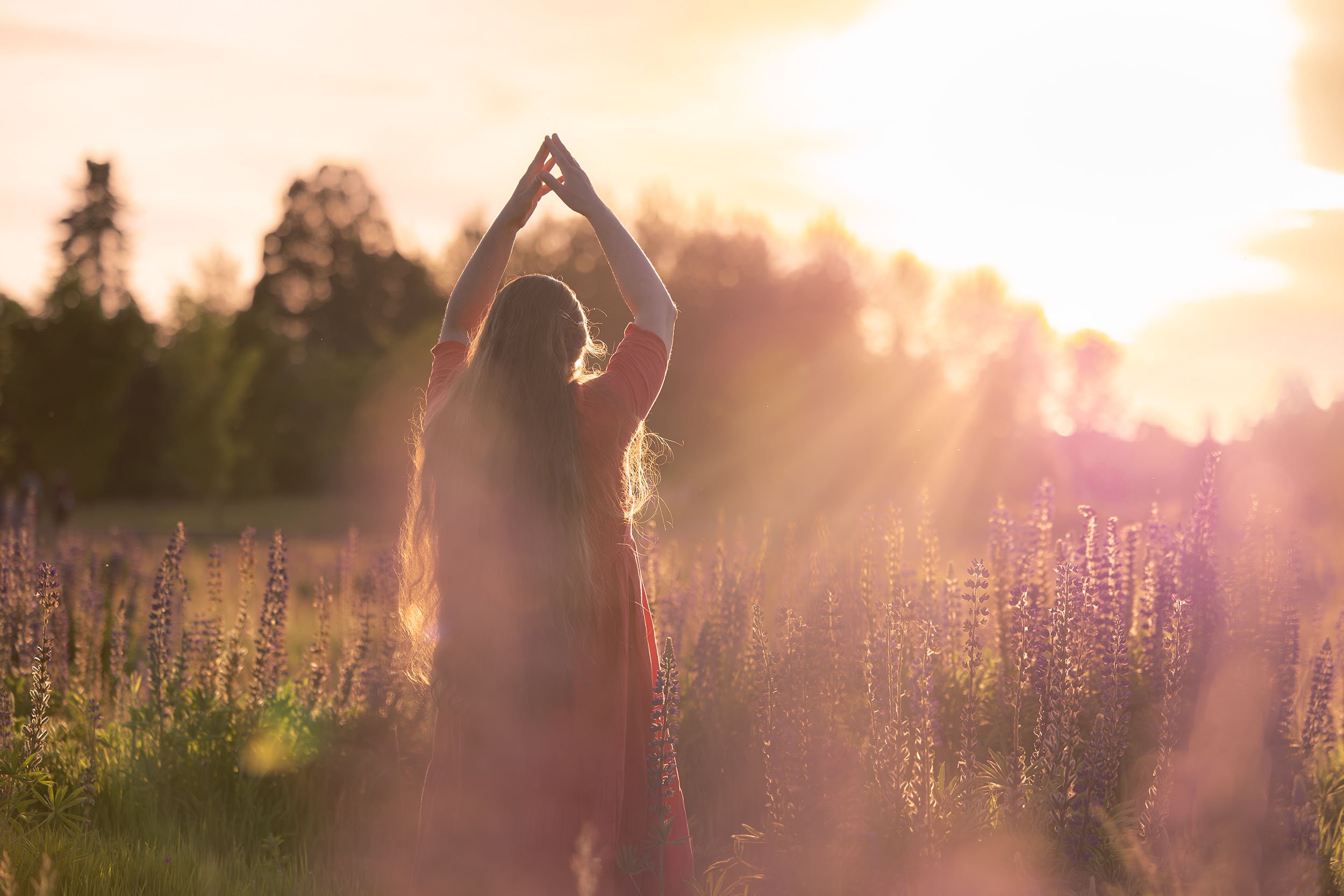 A woman in a pink dress stands in a yoga pose in a field of purple lupine at sunset. 