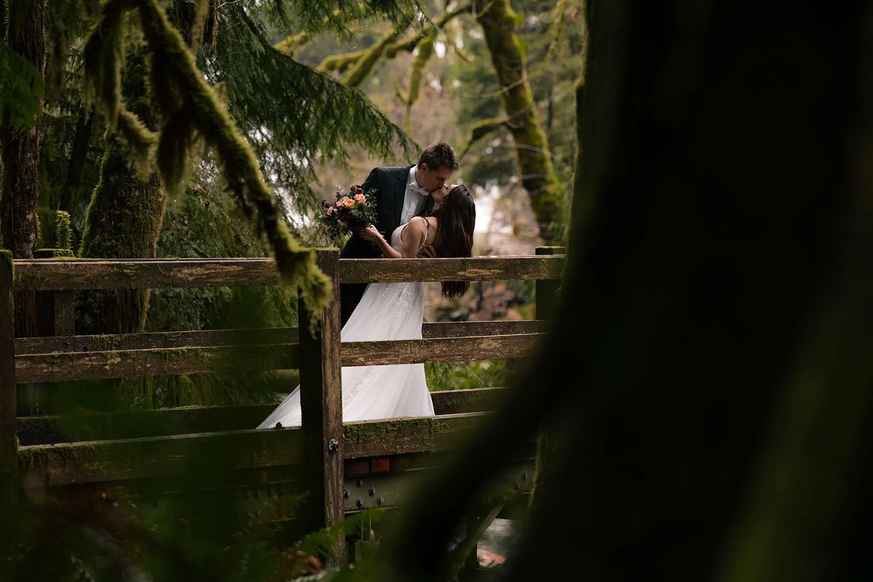 A wedding couple kiss on a bridge in a mossy, old-growth forest in Olympic National Park.