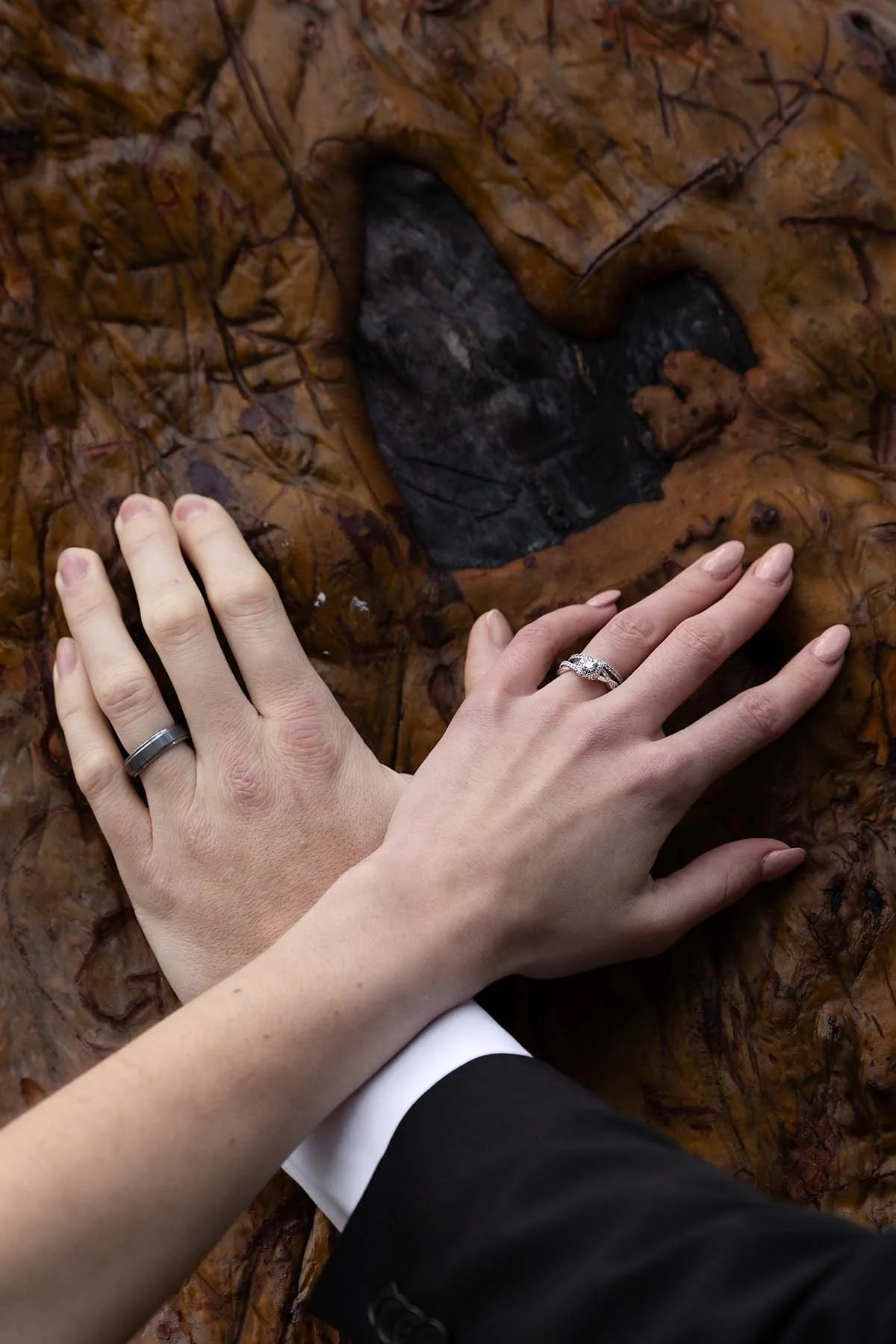 Bride and groom's hands on a tree showing off their wedding rings. The tree has a natural heart-shaped knot and carved initials from couples over the years