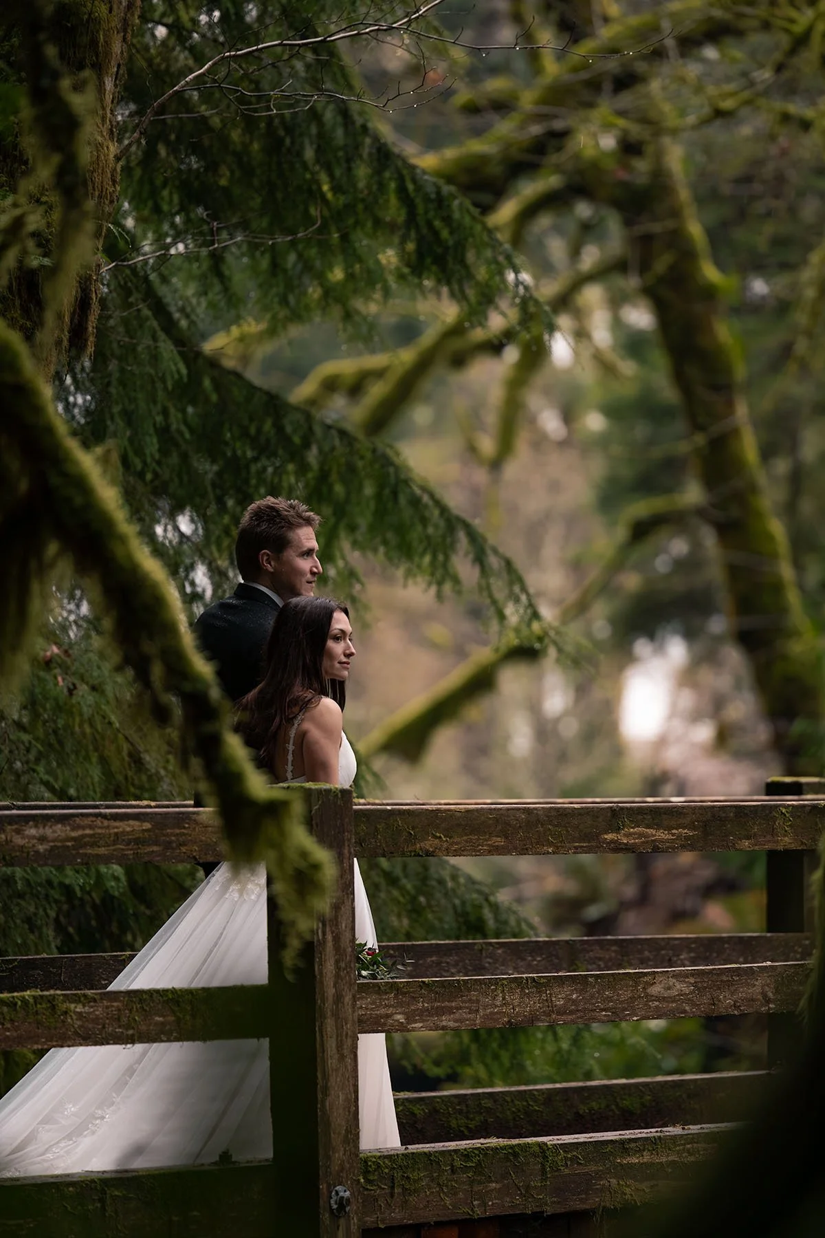 A wedding couple walk on a bridge in a mossy, old-growth forest in Olympic National Park.