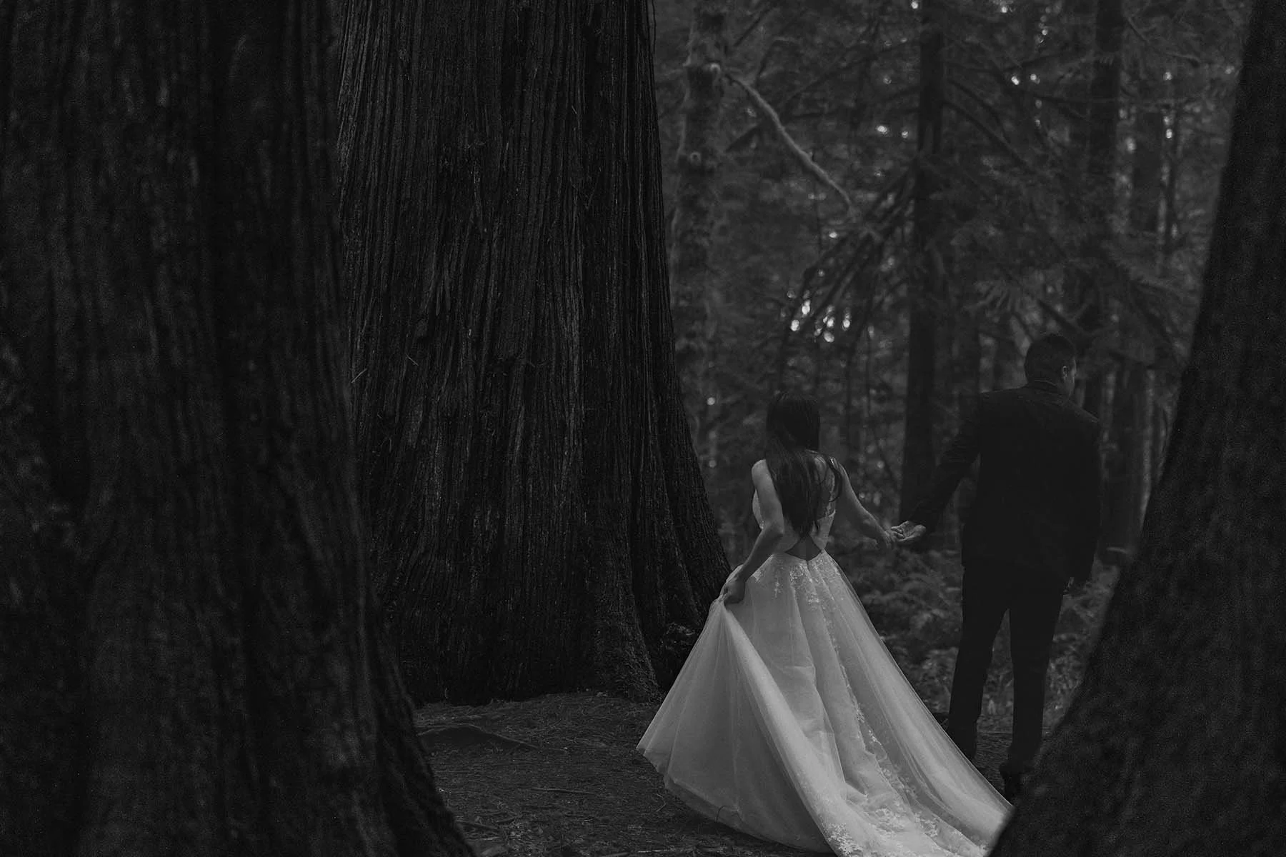 Dramatic black and white edit of a bride and groom standing in an old-growth forest, framed by massive trees, at Olympic National Park.