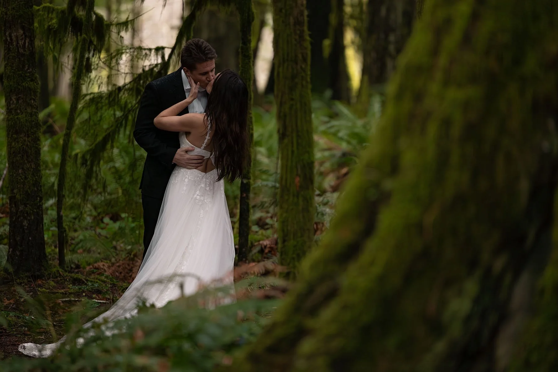 A wedding couple kiss in a mossy, old-growth forest in Olympic National Park..