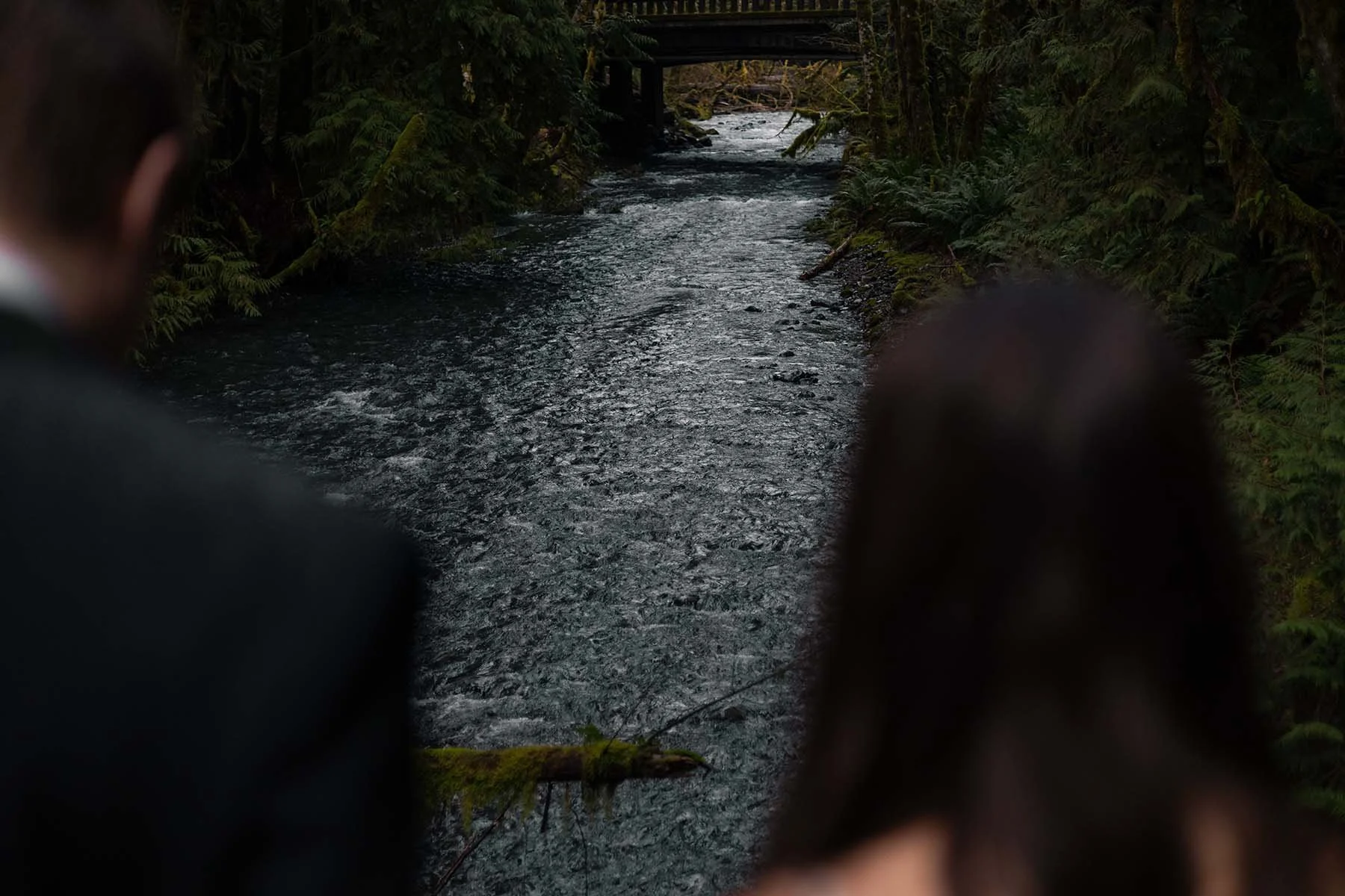 Wedding couple look down at a blue river in Olympic National Park during their elopement.