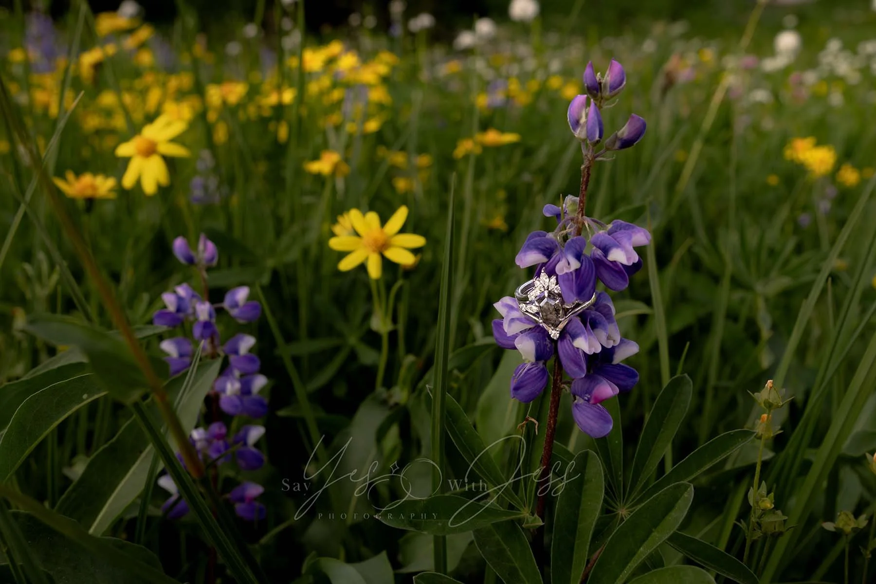 A custom salt and pepper diamond wedding ring stack rests on a lupine flower in a meadow of wildflowers at Mount Rainier.