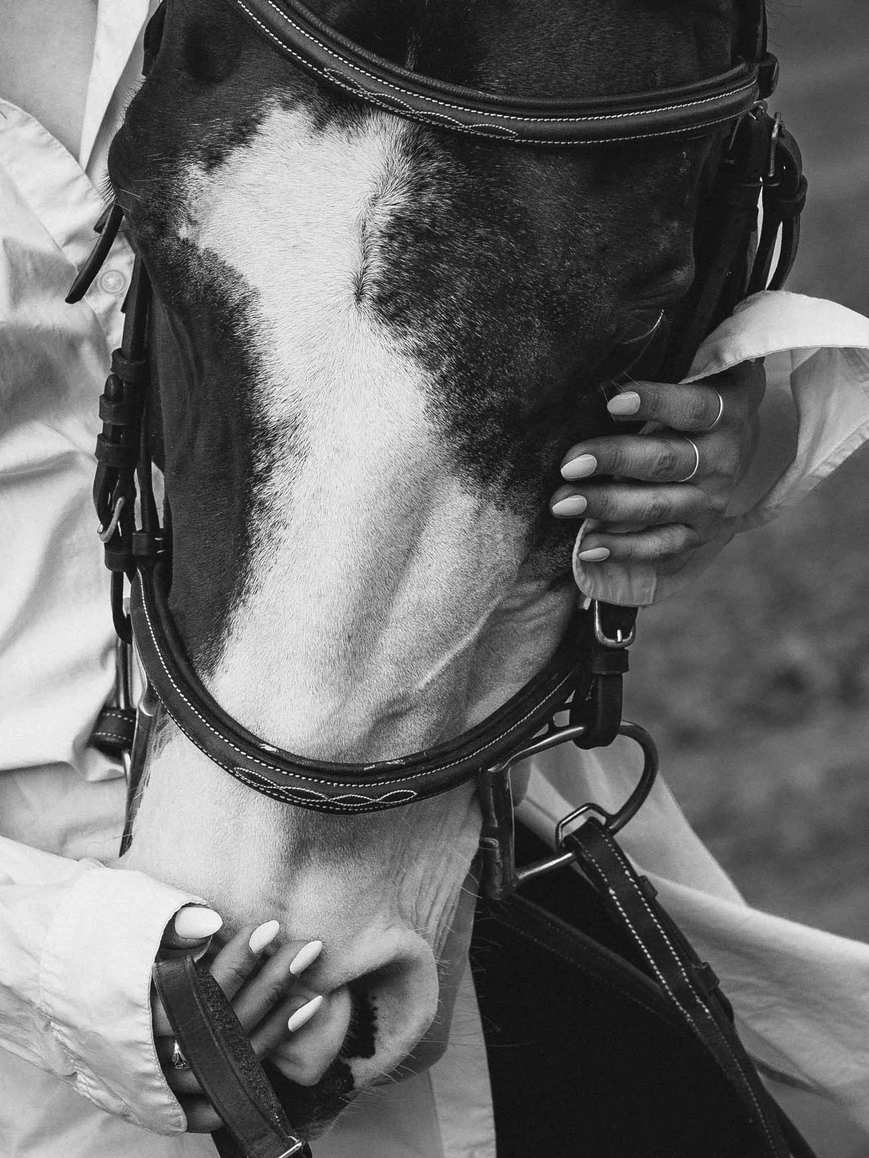 A woman's hands hug the face of a horse wearing an english bridle, edited in black and white