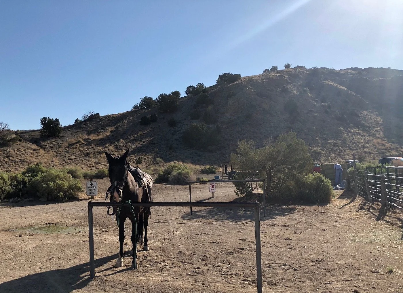 A black horse standing in a paddock with a saddle, hills in the background, and a person near a fence on the right side of the image.