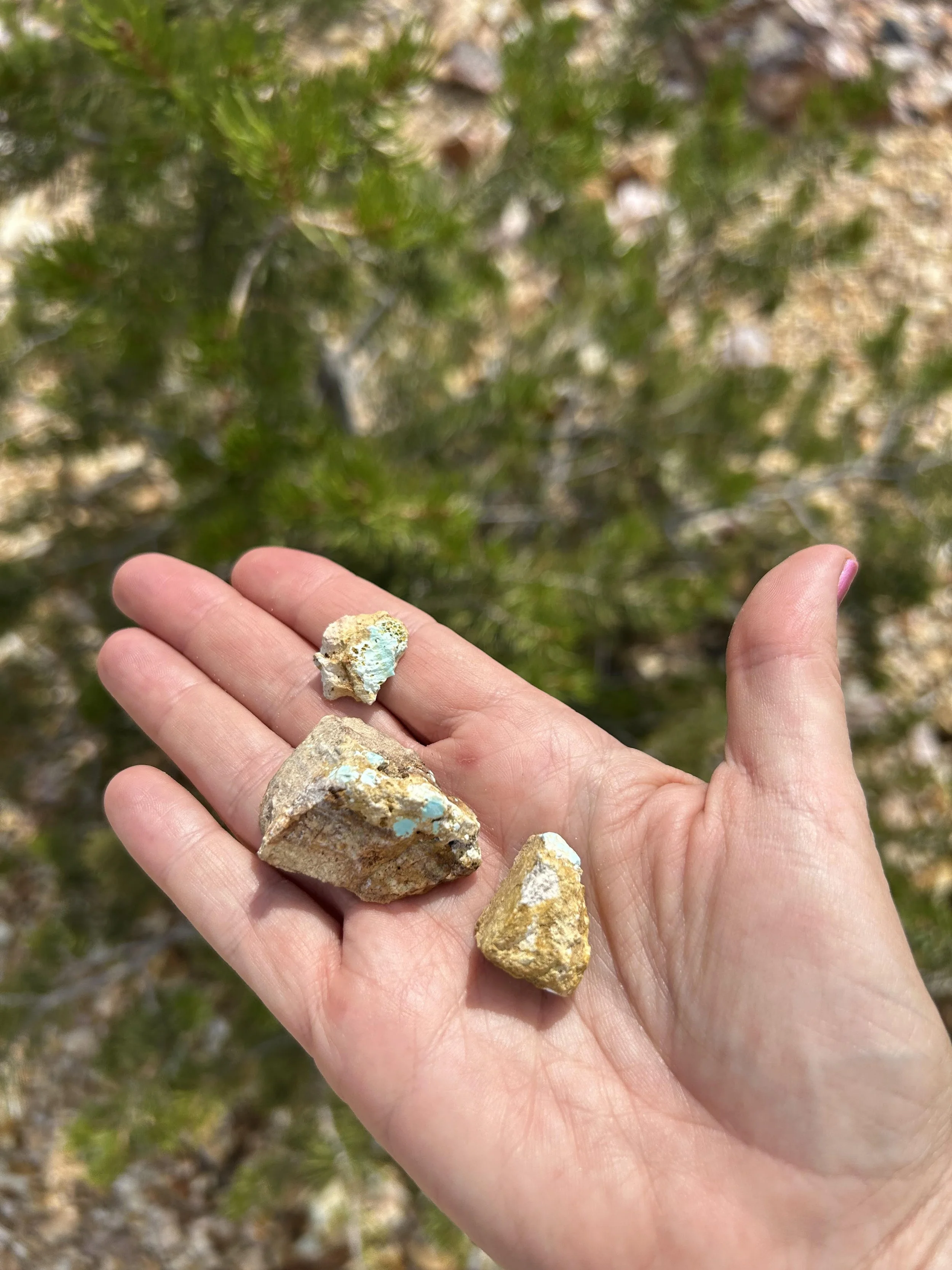 There's literally turquoise nuggets in our hills where we take you riding!   