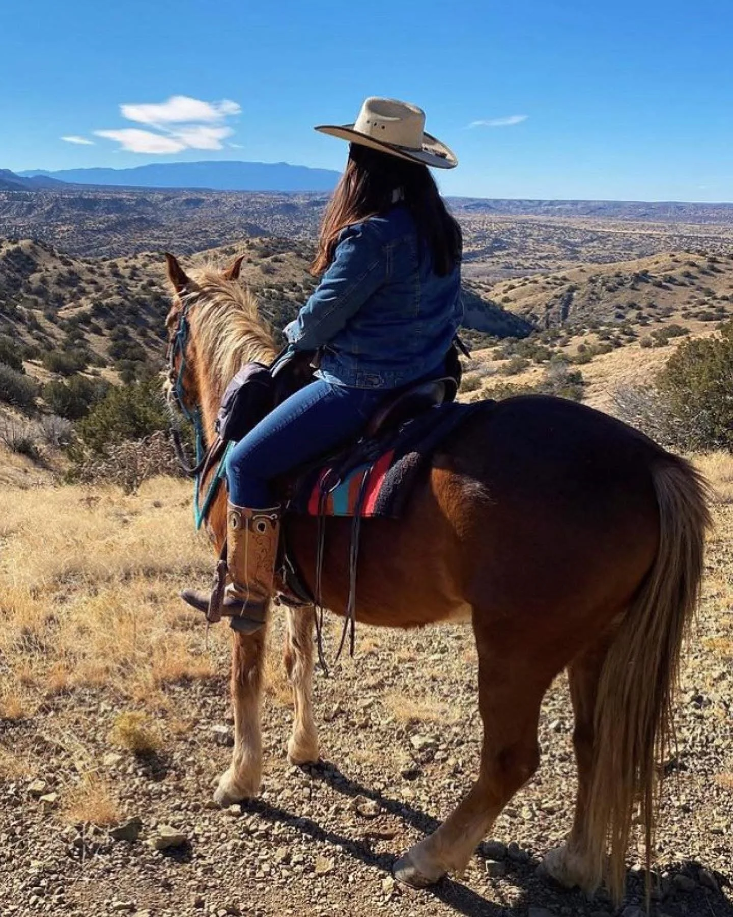 Broken Saddle Riding Co. now Turquoise Hills Riding Co., inspiration found near Santa Fe, NM. 