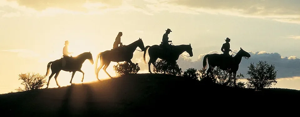 Silhouettes of four people riding horses across a hill at sunset.